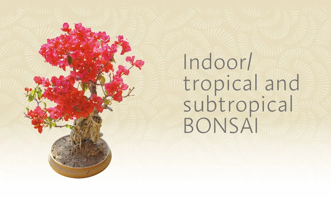 The Bonsai Beginner's Bible: The definitive guide to choosing and growing bonsai