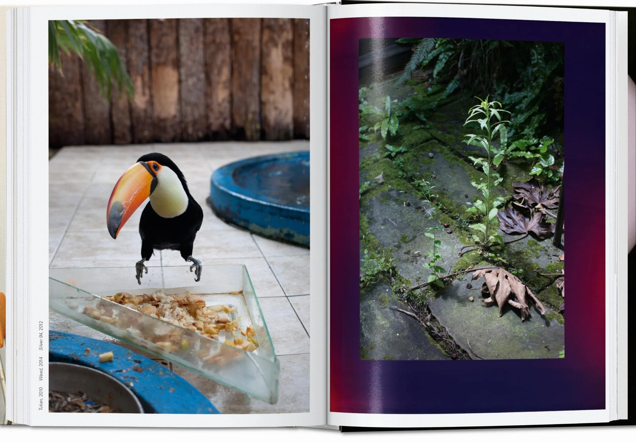 Wolfgang Tillmans. Four Books. 45th Ed.