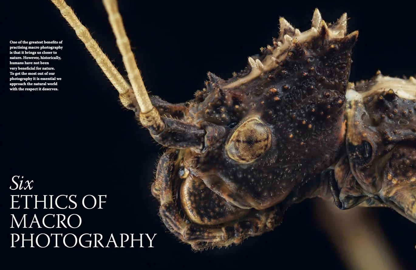 Close-Up: The Complete Guide to Macro Photography