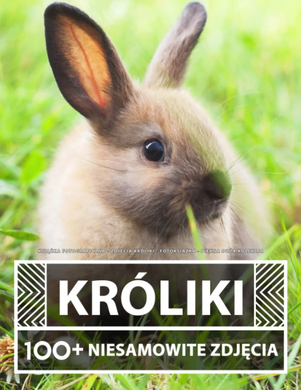Książka Fotograficzna - Zdjęcia Króliki - Piękna Duża Kolekcja: 100+ Niesamowitych Obrazów - Dla Dzieci I Dorosłych
