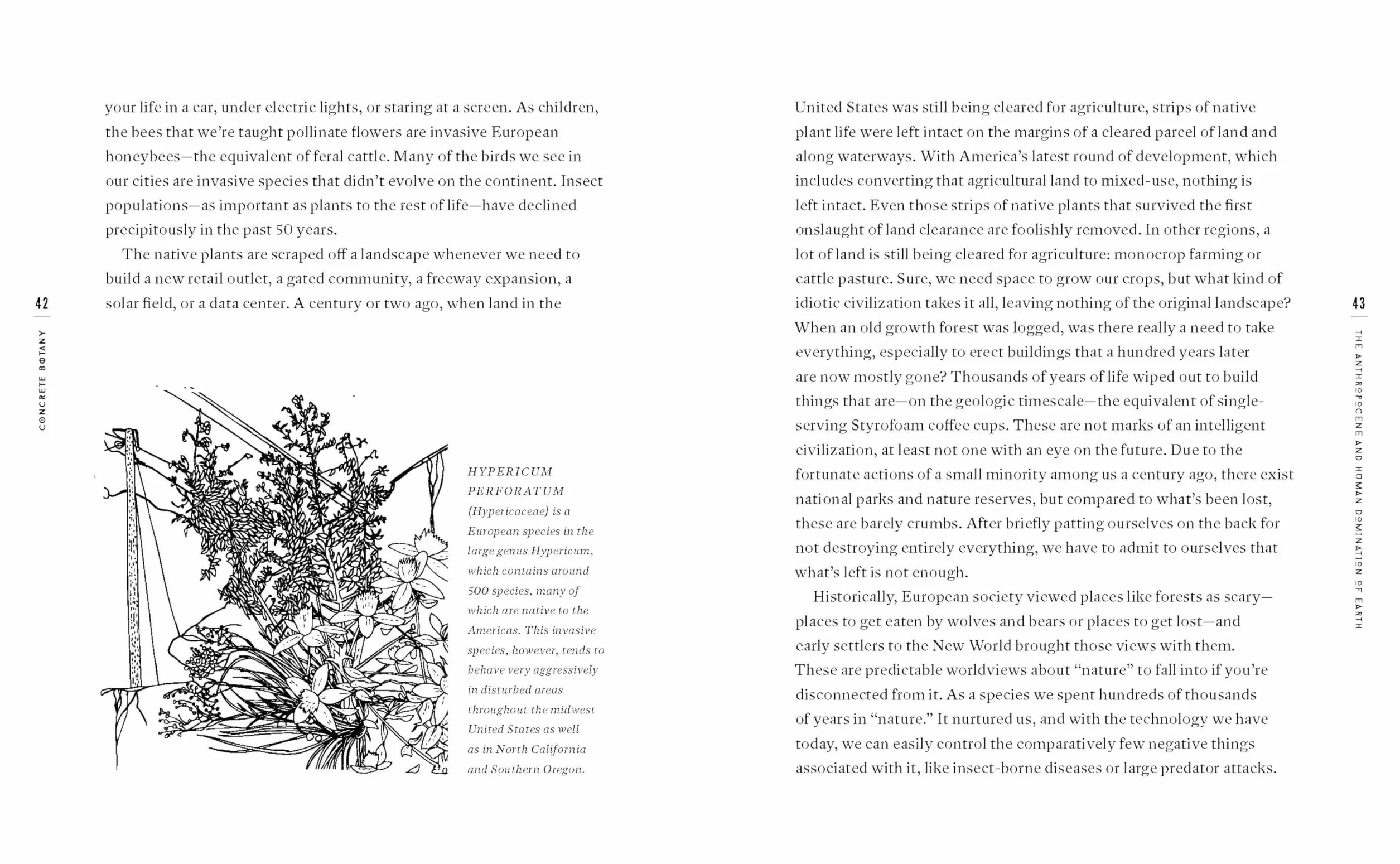 Concrete Botany: The Ecology of Plants in the Age of Human Disturbance