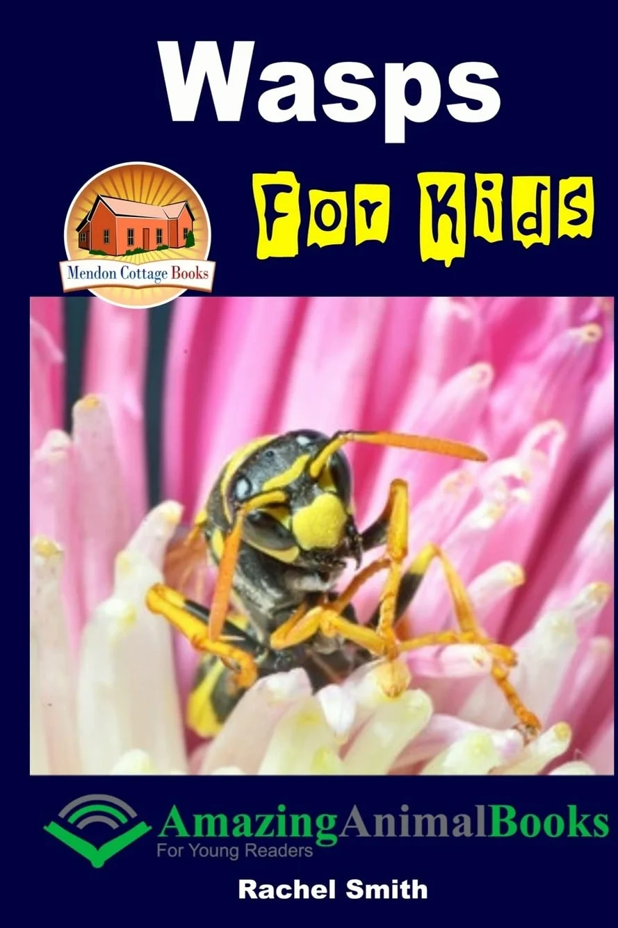 Wasps For Kids