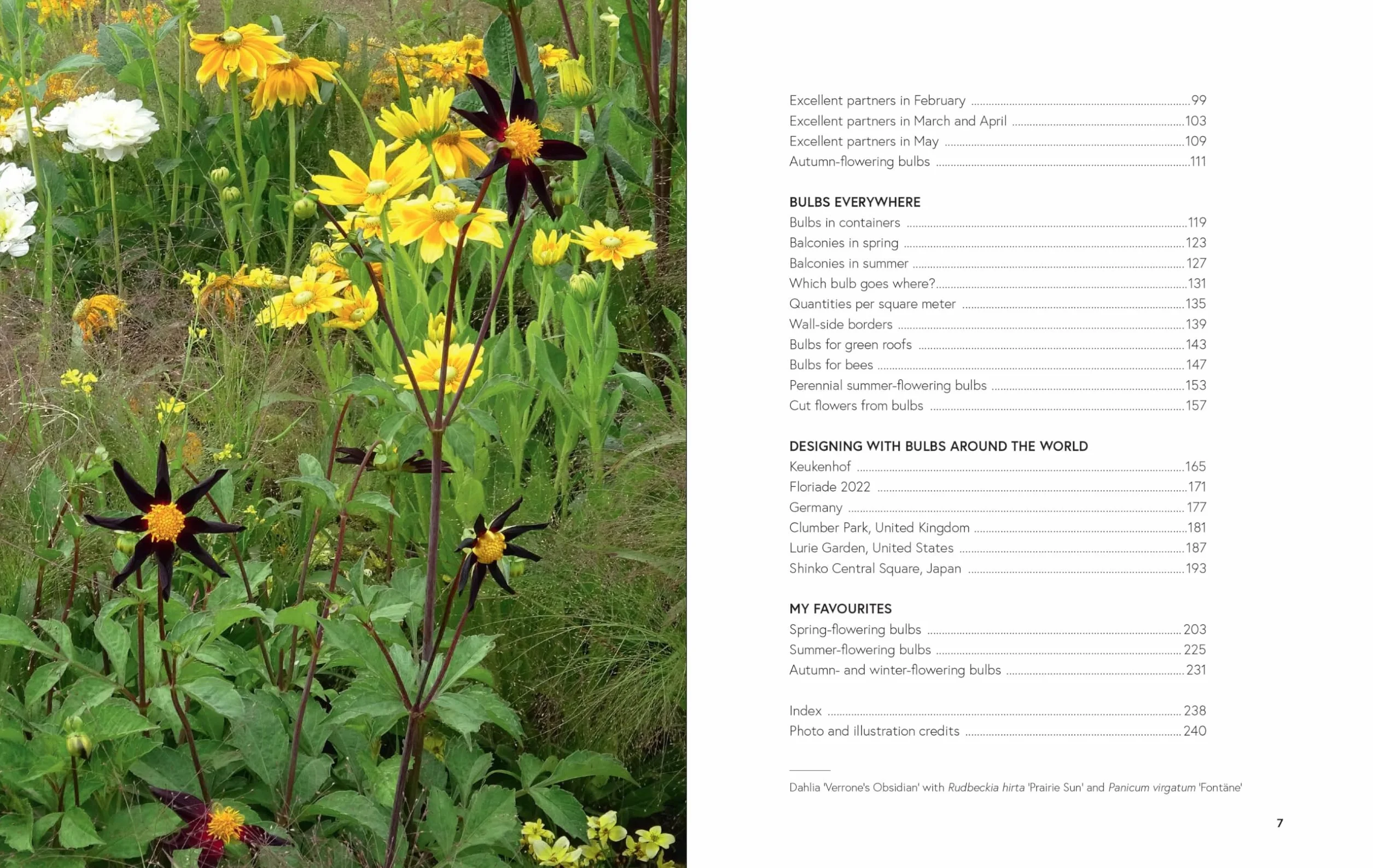 Growing Bulbs in the Natural Garden: Innovative Techniques for Combining Bulbs and Perennials in Every Season