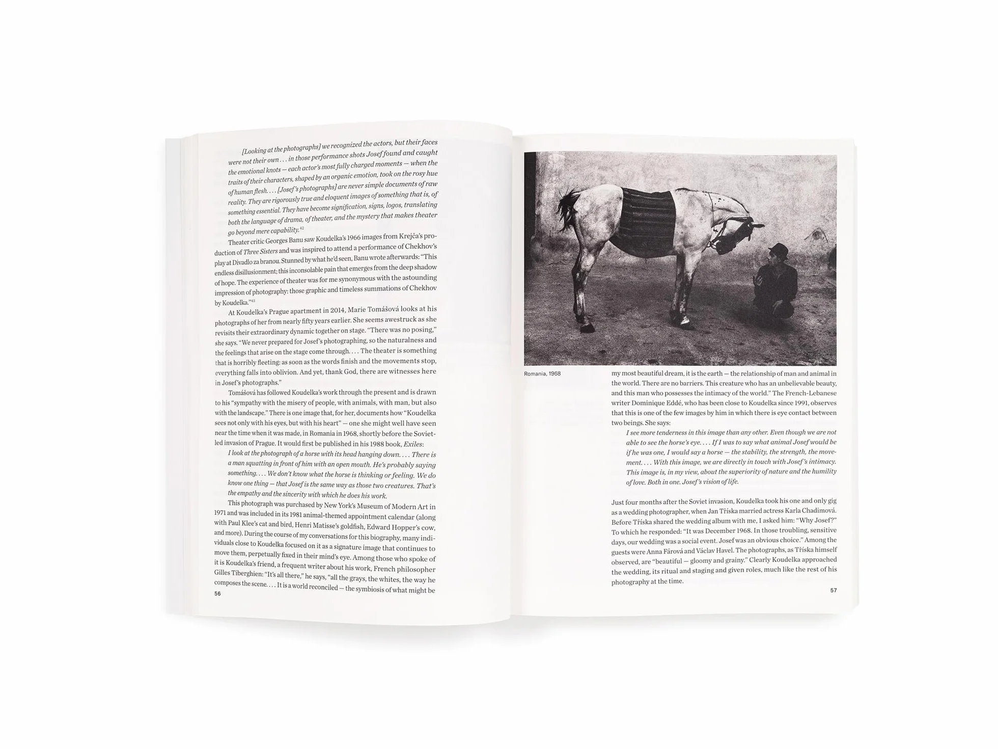 Josef Koudelka Next /anglais: A Visual Biography by Melissa Harris