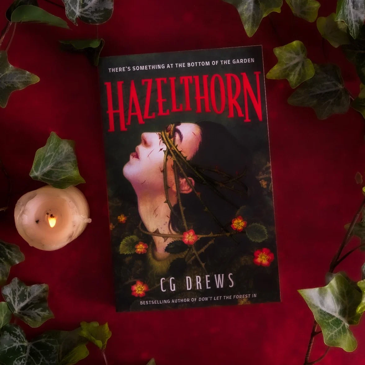 Hazelthorn: Gorgeously gothic queer YA horromance from the NYT bestselling author of Don't Let the Forest In