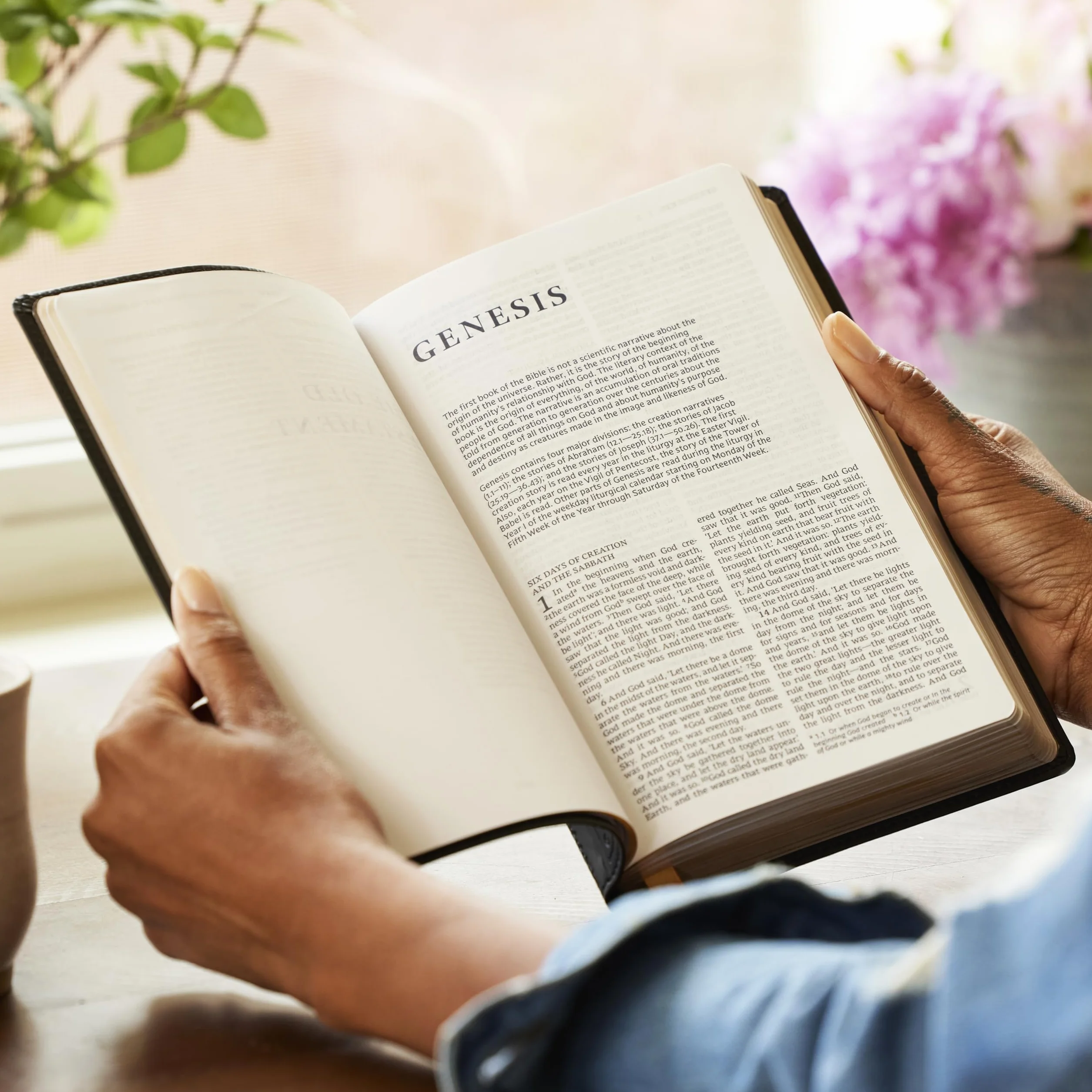 Nrsv, Catholic Bible, Gift Edition, Leathersoft, Brown, Comfort Print: Holy Bible