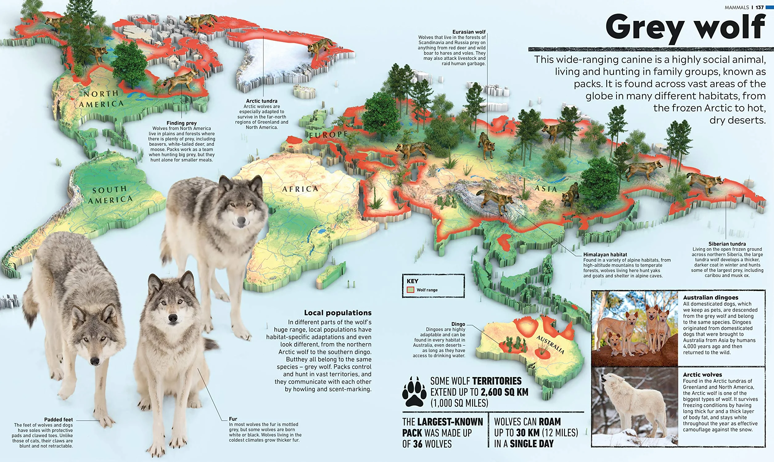 What's Where on Earth? Animal Atlas: The World's Wildlife as You've Never Seen it Before