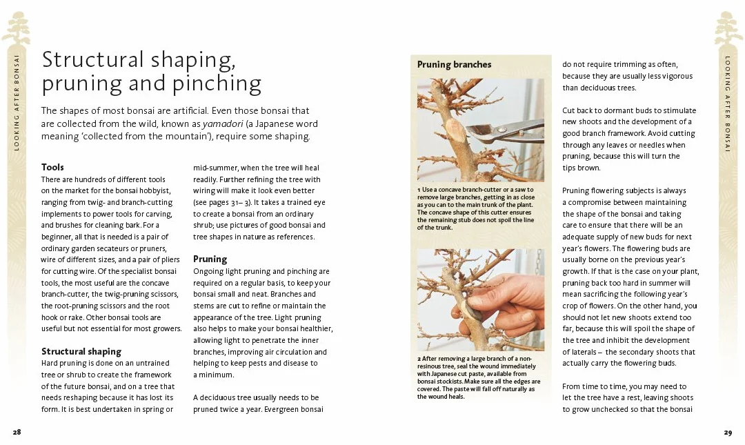 The Bonsai Beginner's Bible: The definitive guide to choosing and growing bonsai