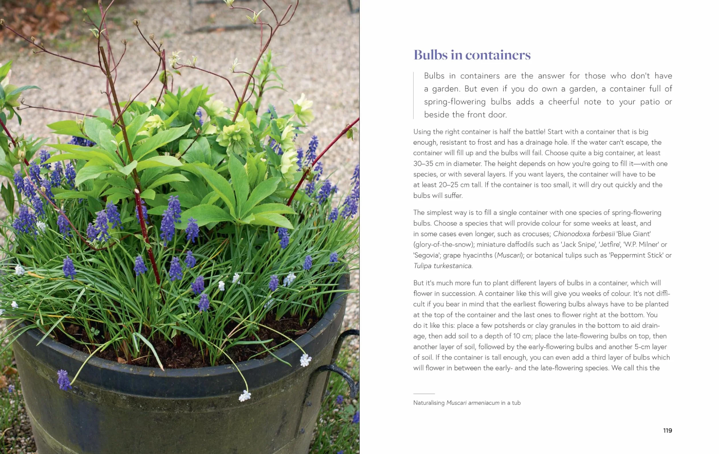 Growing Bulbs in the Natural Garden: Innovative Techniques for Combining Bulbs and Perennials in Every Season