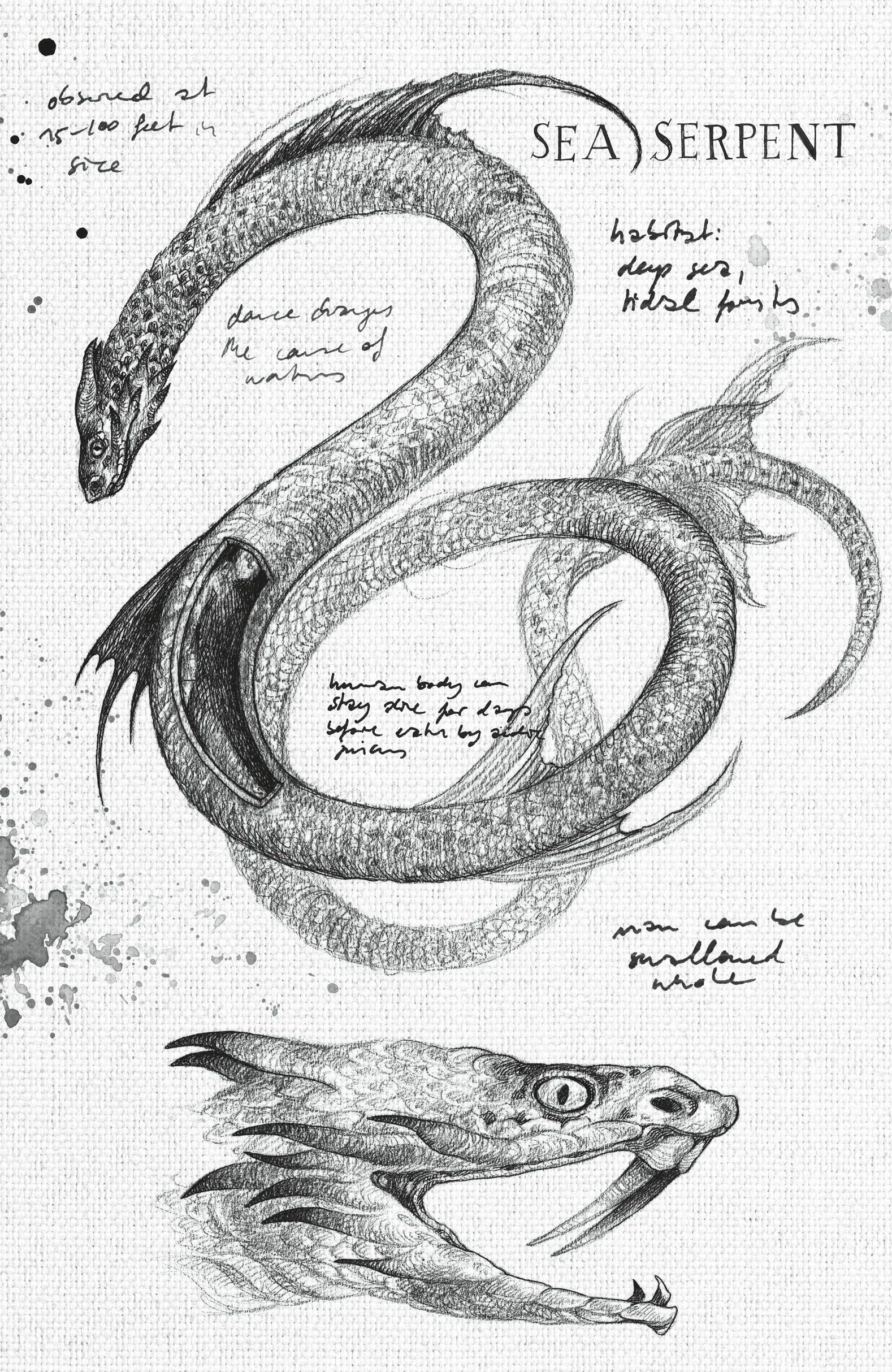 Scorpion Deep