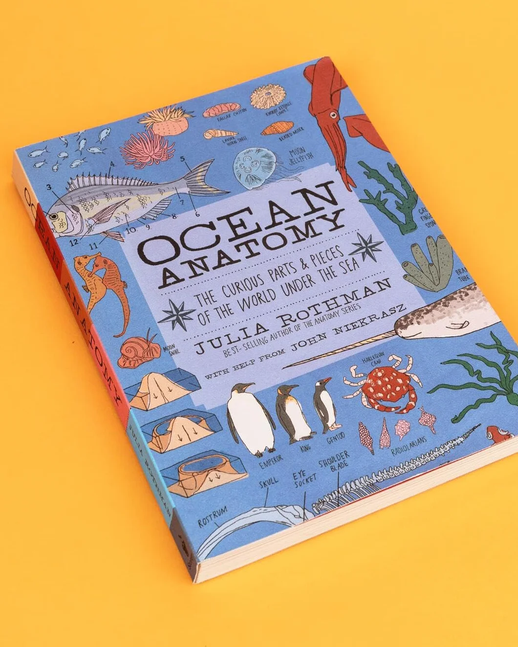 Ocean Anatomy: The Curious Parts & Pieces of the World Under the Sea: 1