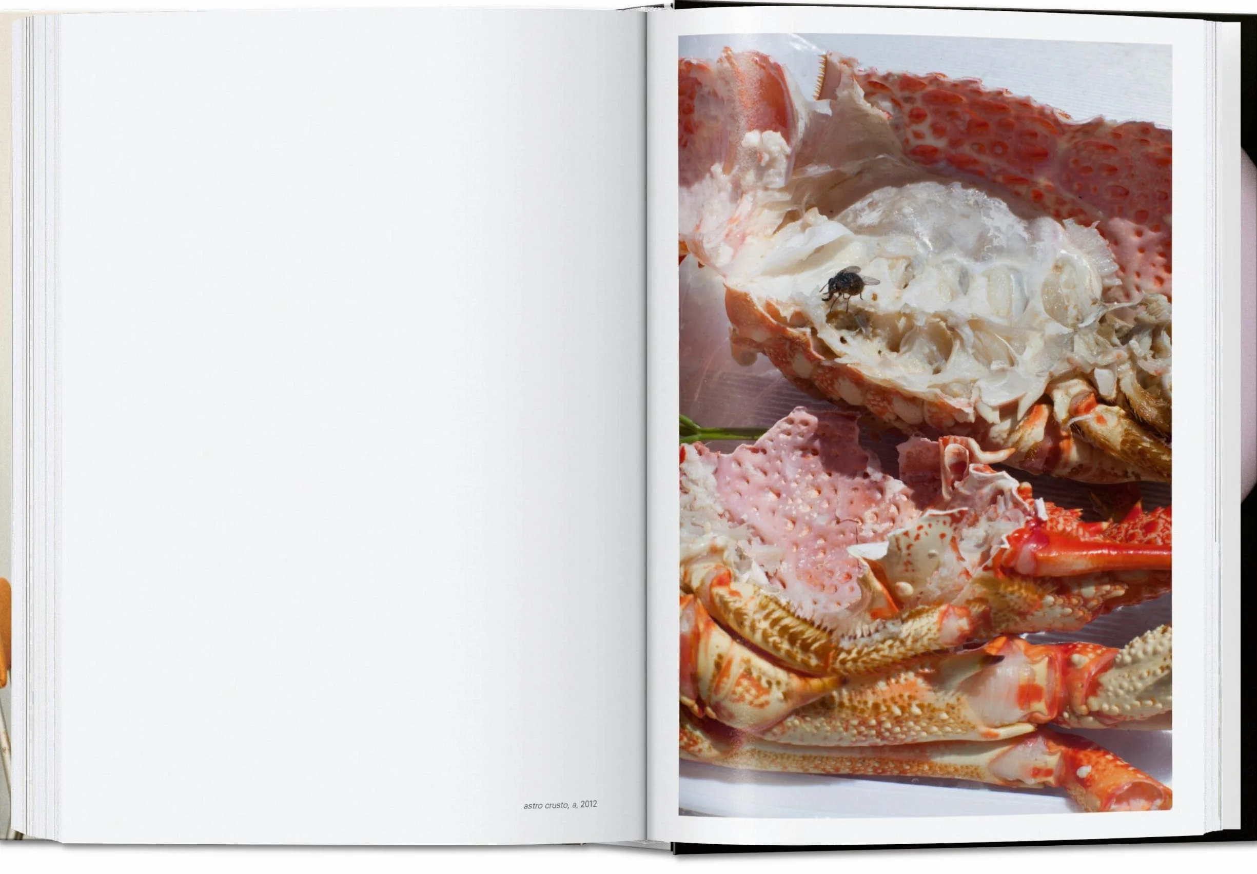 Wolfgang Tillmans. Four Books. 45th Ed.