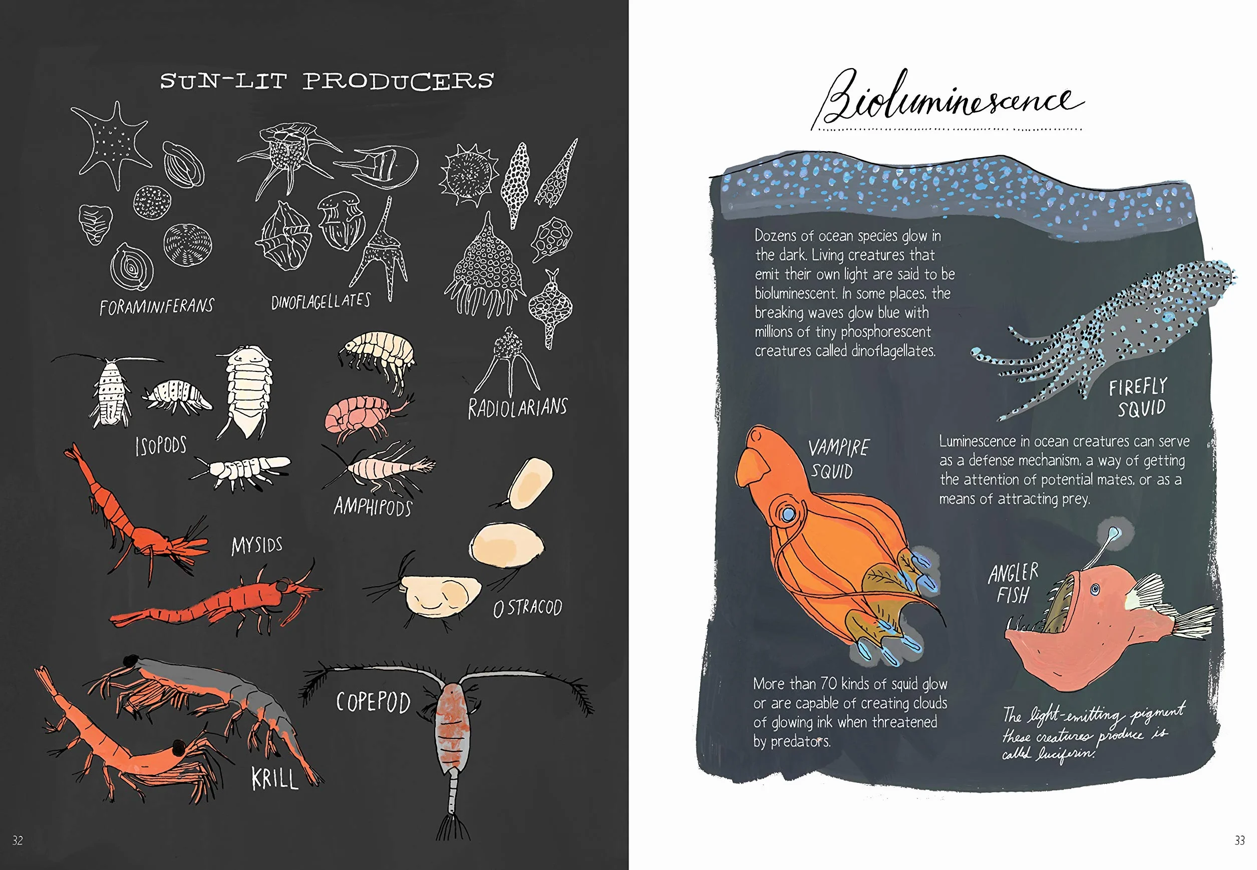 Ocean Anatomy: The Curious Parts & Pieces of the World Under the Sea: 1