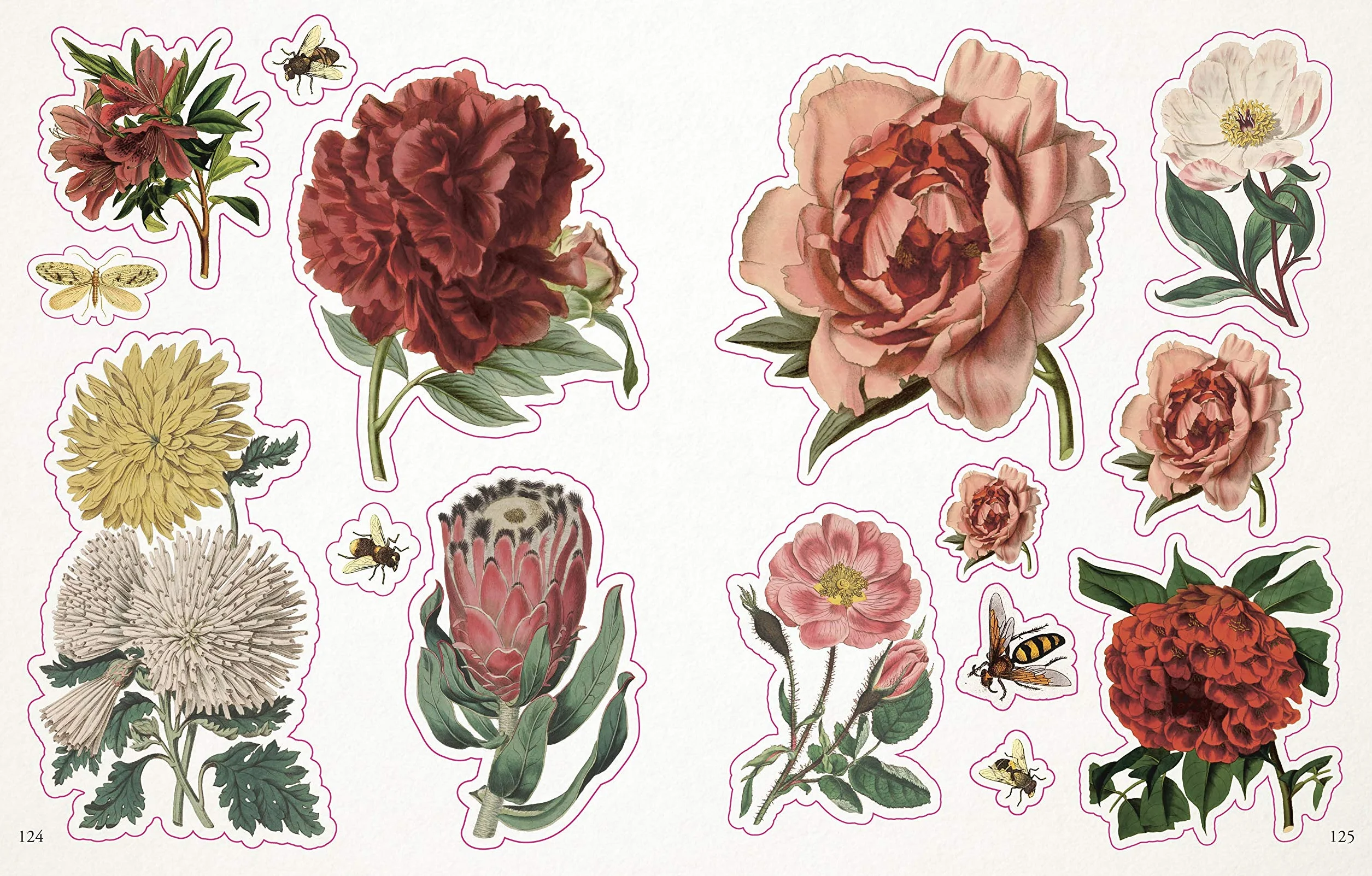 The Botanist's Sticker Anthology: With More Than 1,000 Vintage Stickers