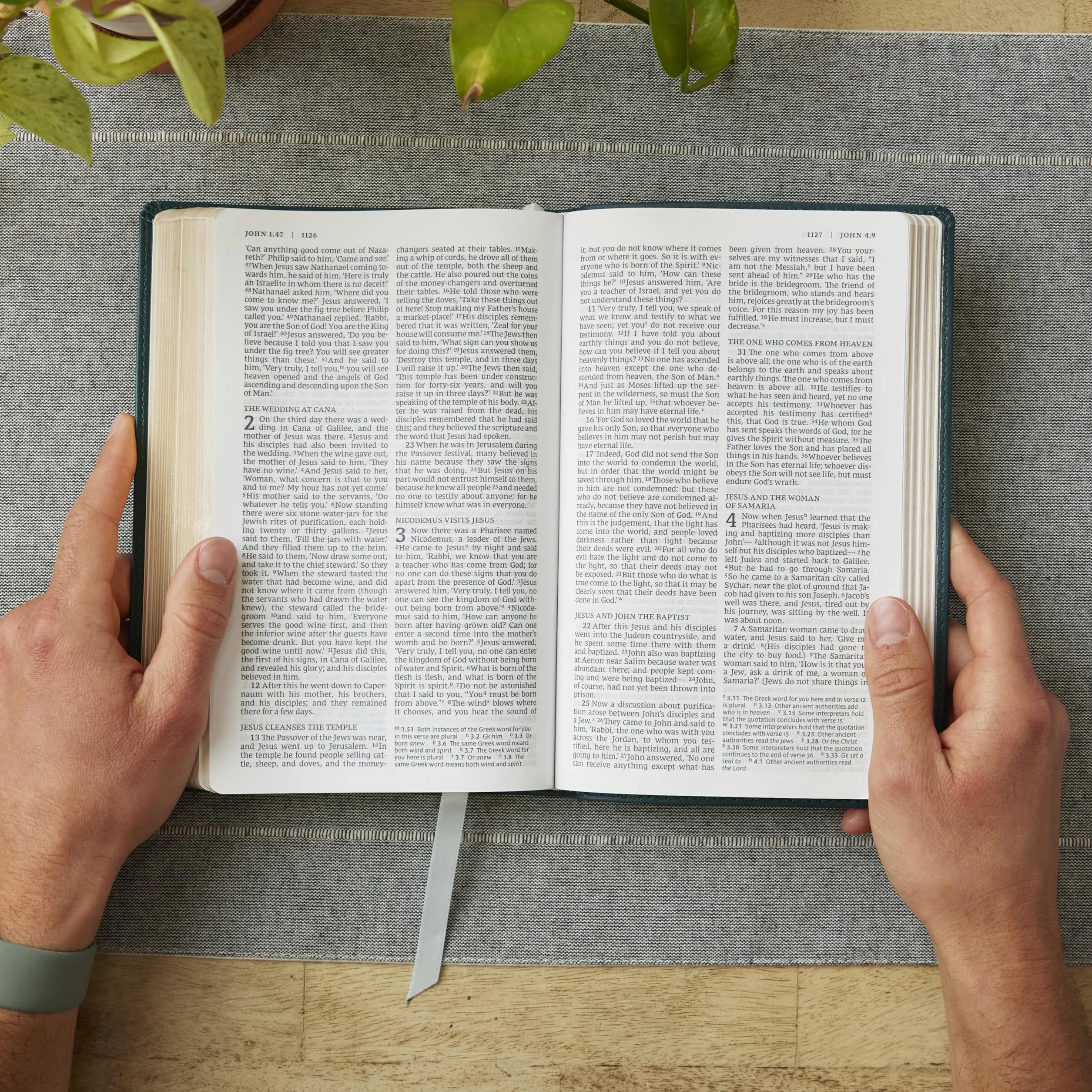 Nrsv, Catholic Bible, Gift Edition, Leathersoft, Brown, Comfort Print: Holy Bible