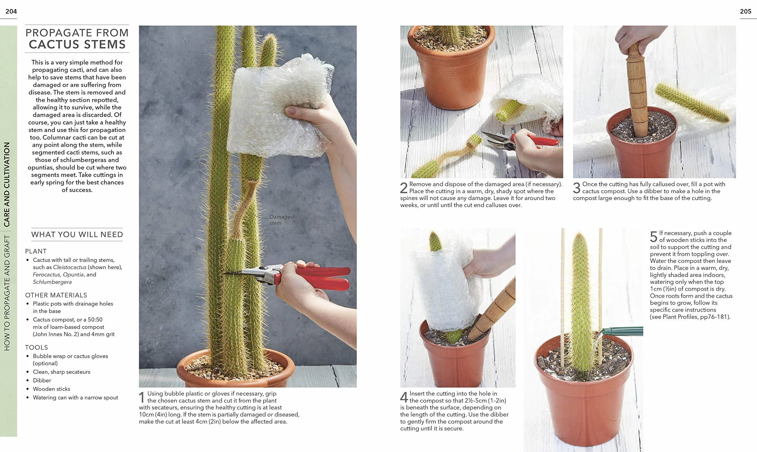 RHS Practical Cactus and Succulent Book: How to Choose, Nurture, and Display more than 200 Cacti and Succulents