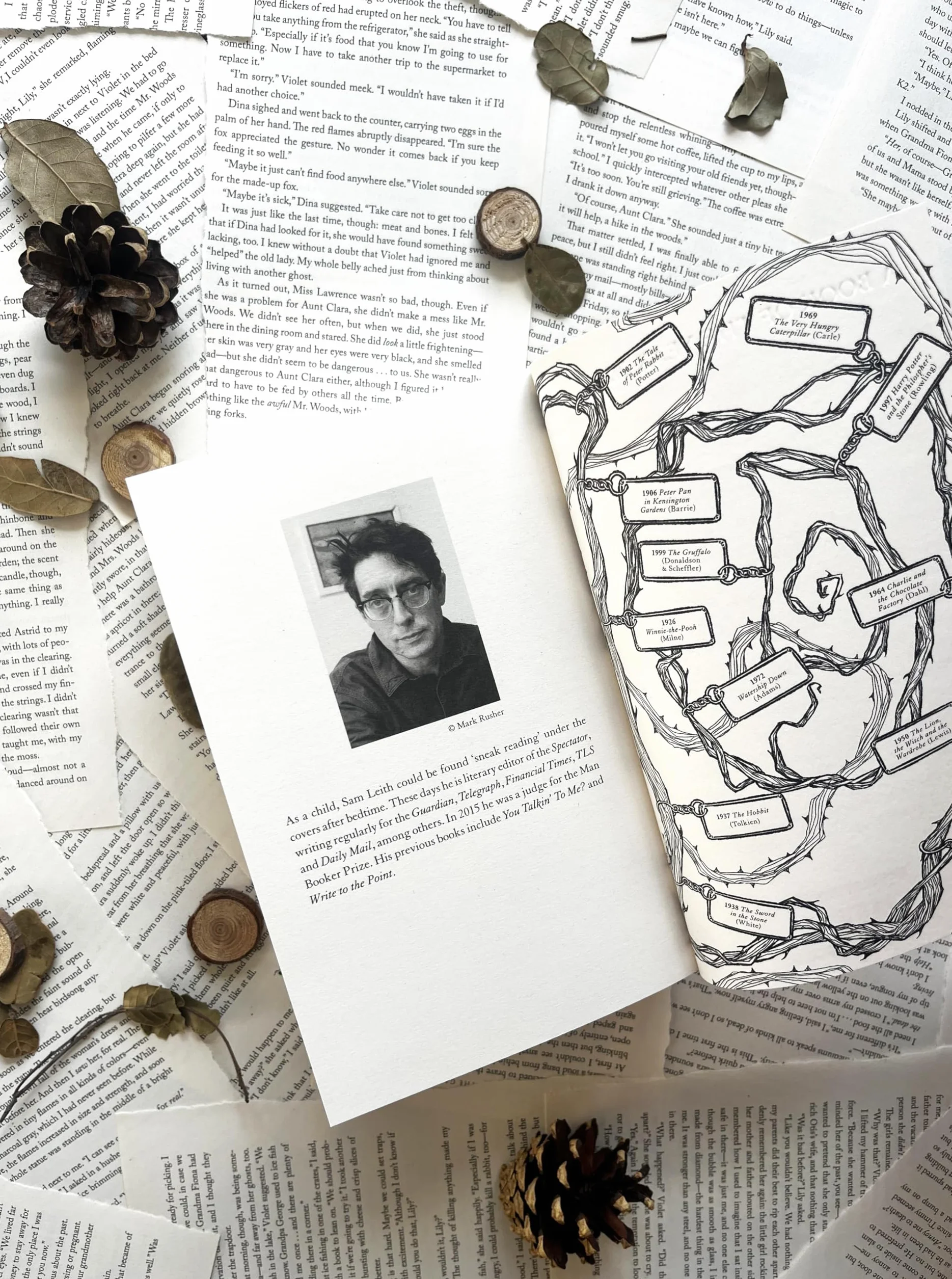 The Haunted Wood: A History of Childhood Reading