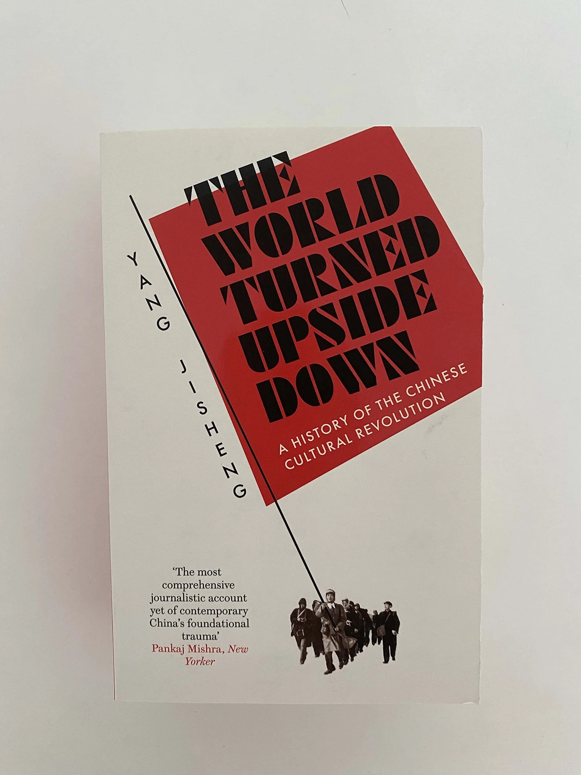 The World Turned Upside Down: A History of the Chinese Cultural Revolution