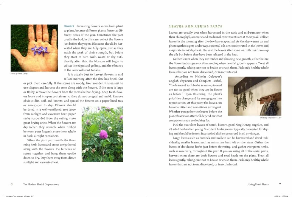 The Modern Herbal Dispensatory: A Medicine-Making Guide