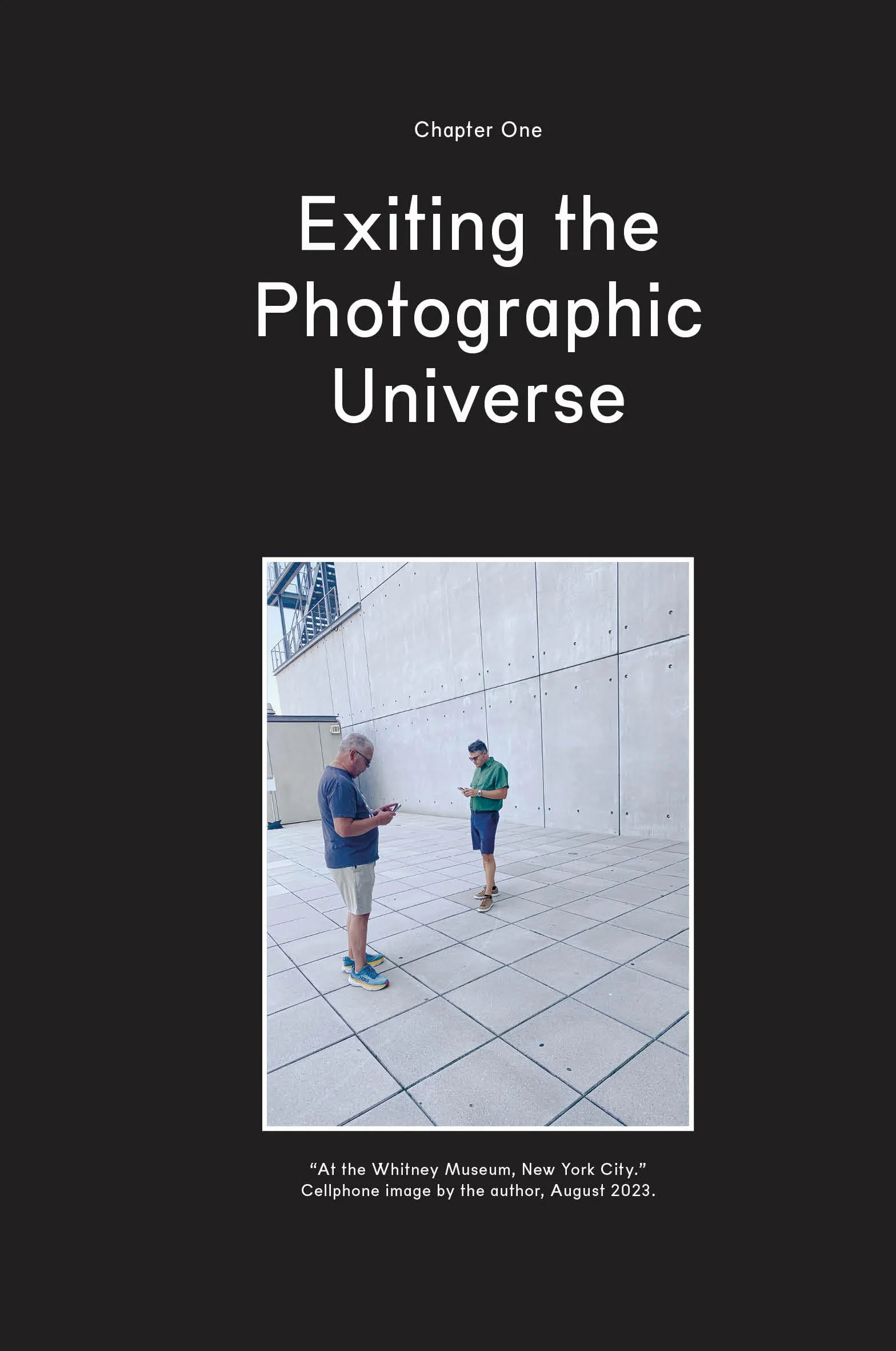The Synthetic Eye: Photography Transformed in the Age of AI