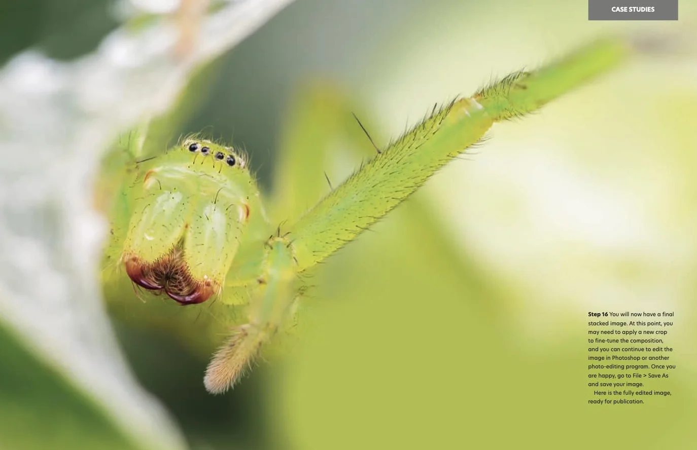 Close-Up: The Complete Guide to Macro Photography