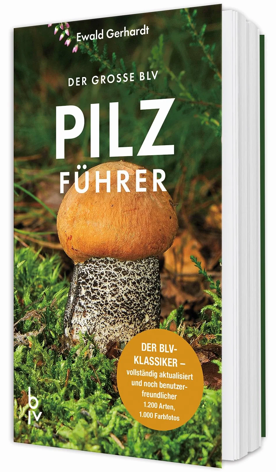 Der große BLV Pilzführer: Der BLV-Klassiker - vollständig aktualisiert und noch benutzerfreundlicher
