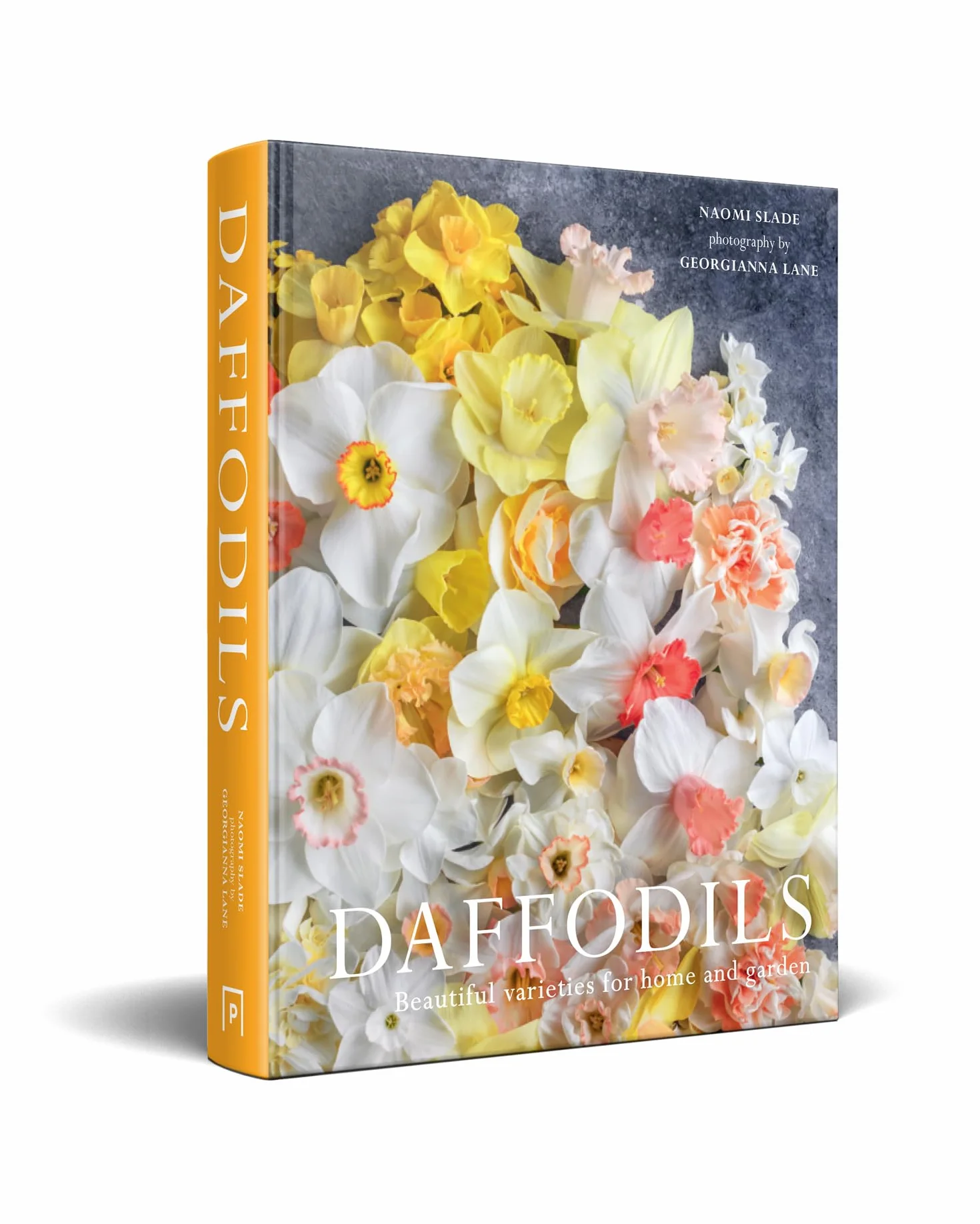 Daffodils: The ultimate guide for growing, flowering and cutting beautiful narcissi varieties for daffodils at home and in the garden
