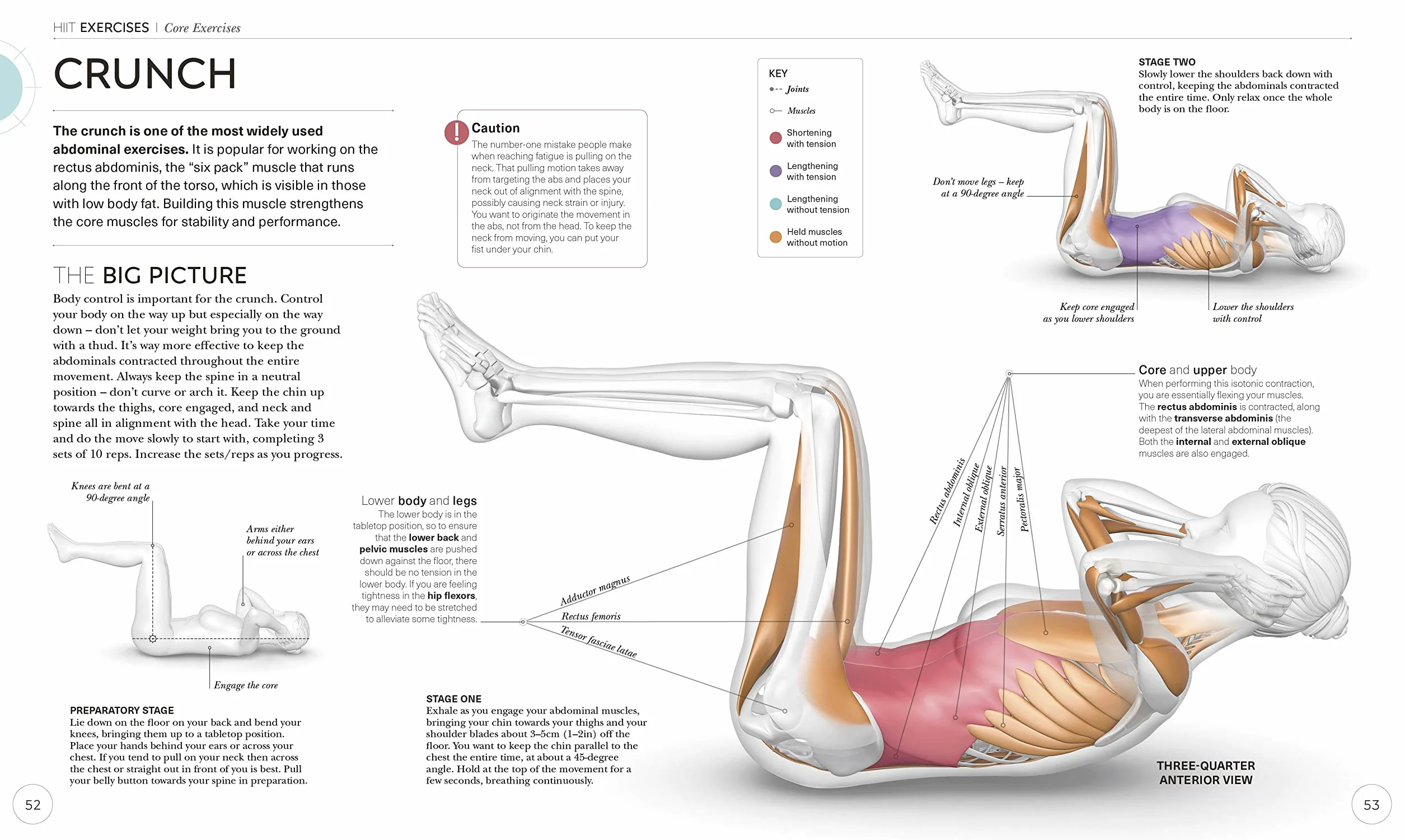 Science of HIIT: Understand the Anatomy and Physiology to Transform Your Body