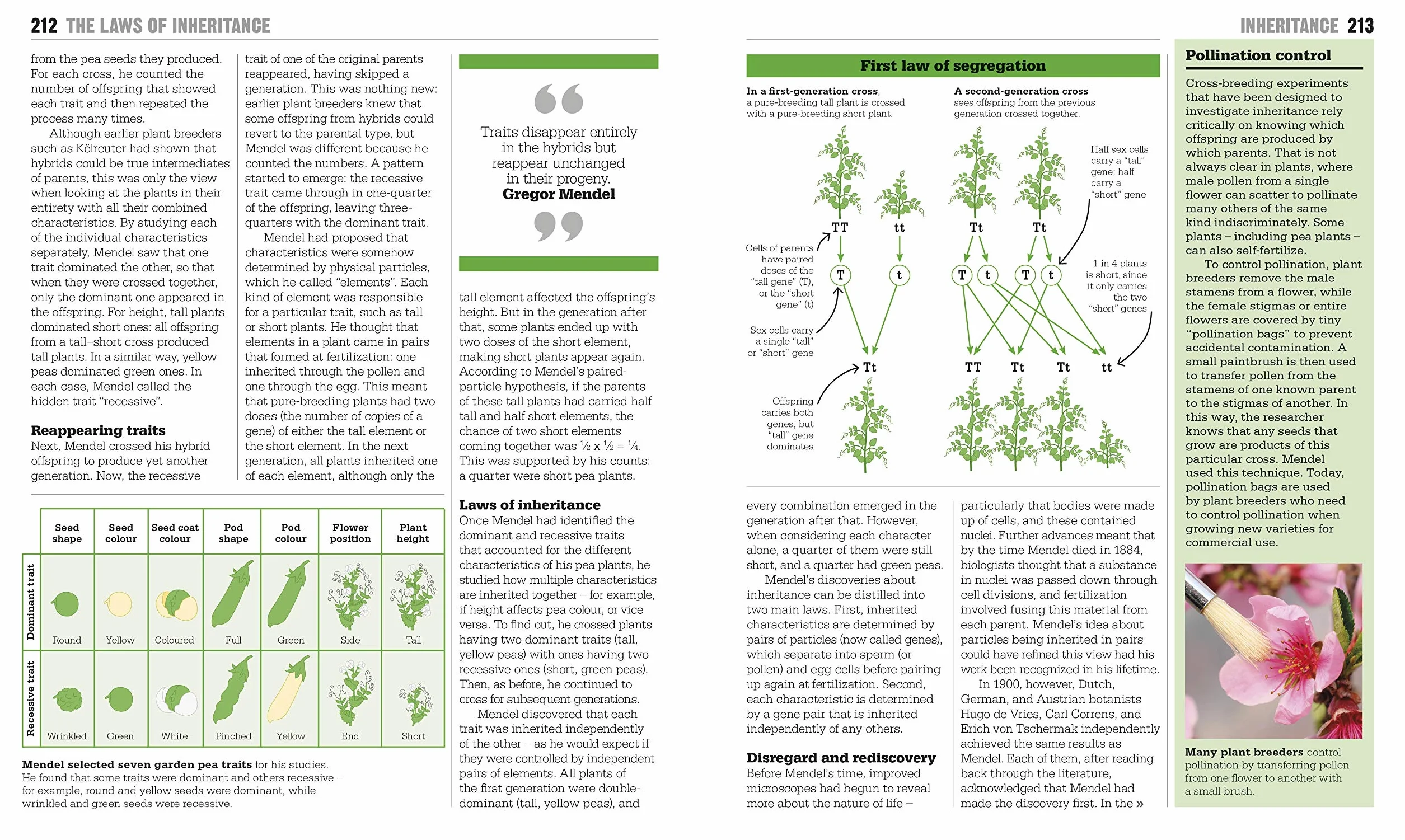 The Biology Book: Big Ideas Simply Explained