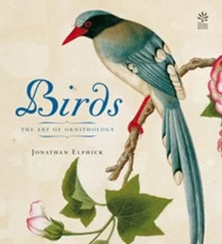 Birds /anglais: The Art of Ornithology