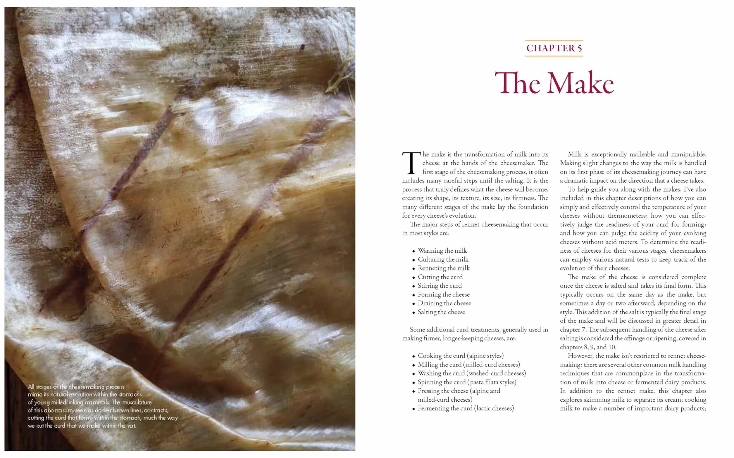 Milk Into Cheese: The Foundations of Natural Cheesemaking Using Traditional Concepts, Tools, and Techniques