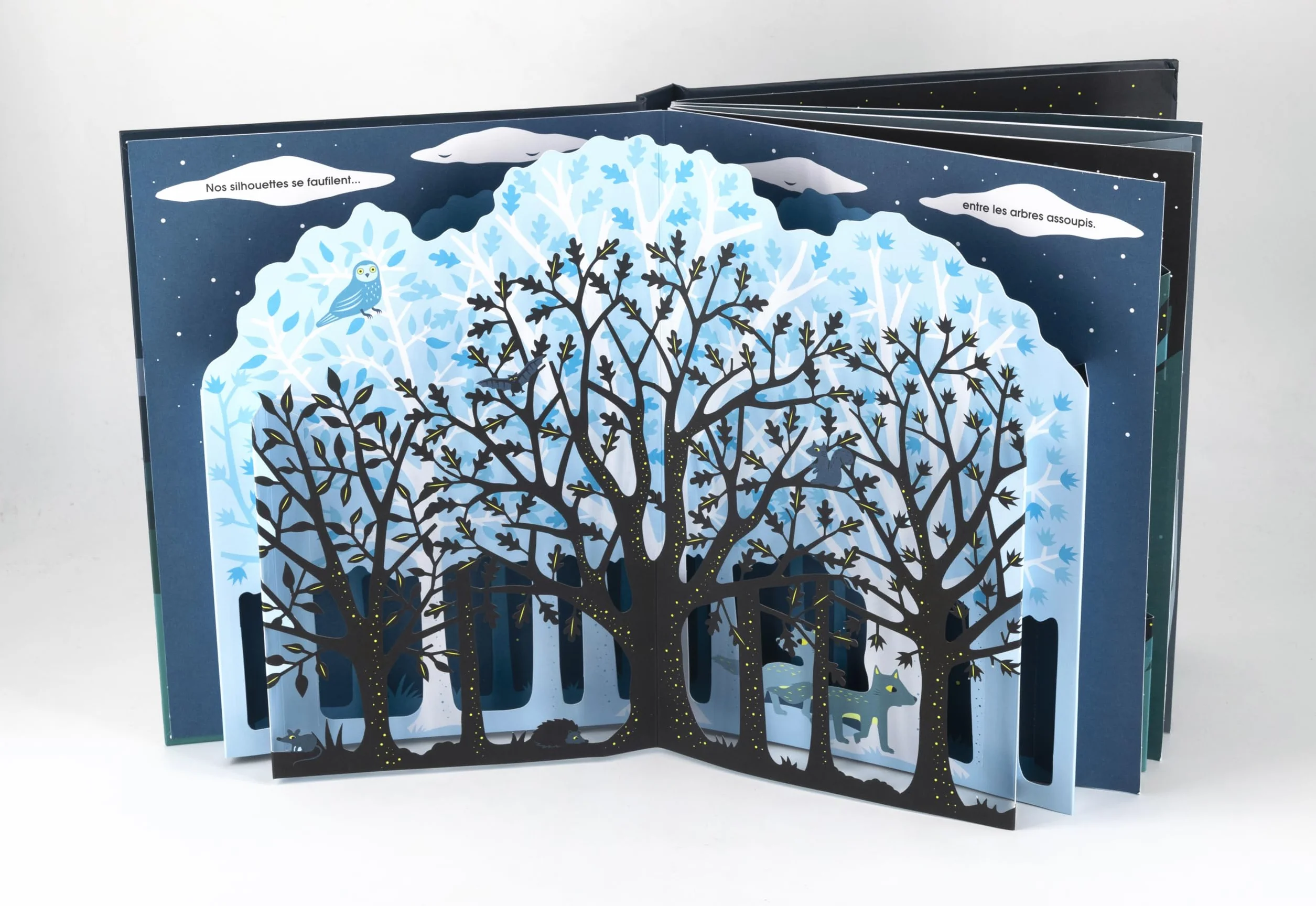 Loups: Livre pop-up
