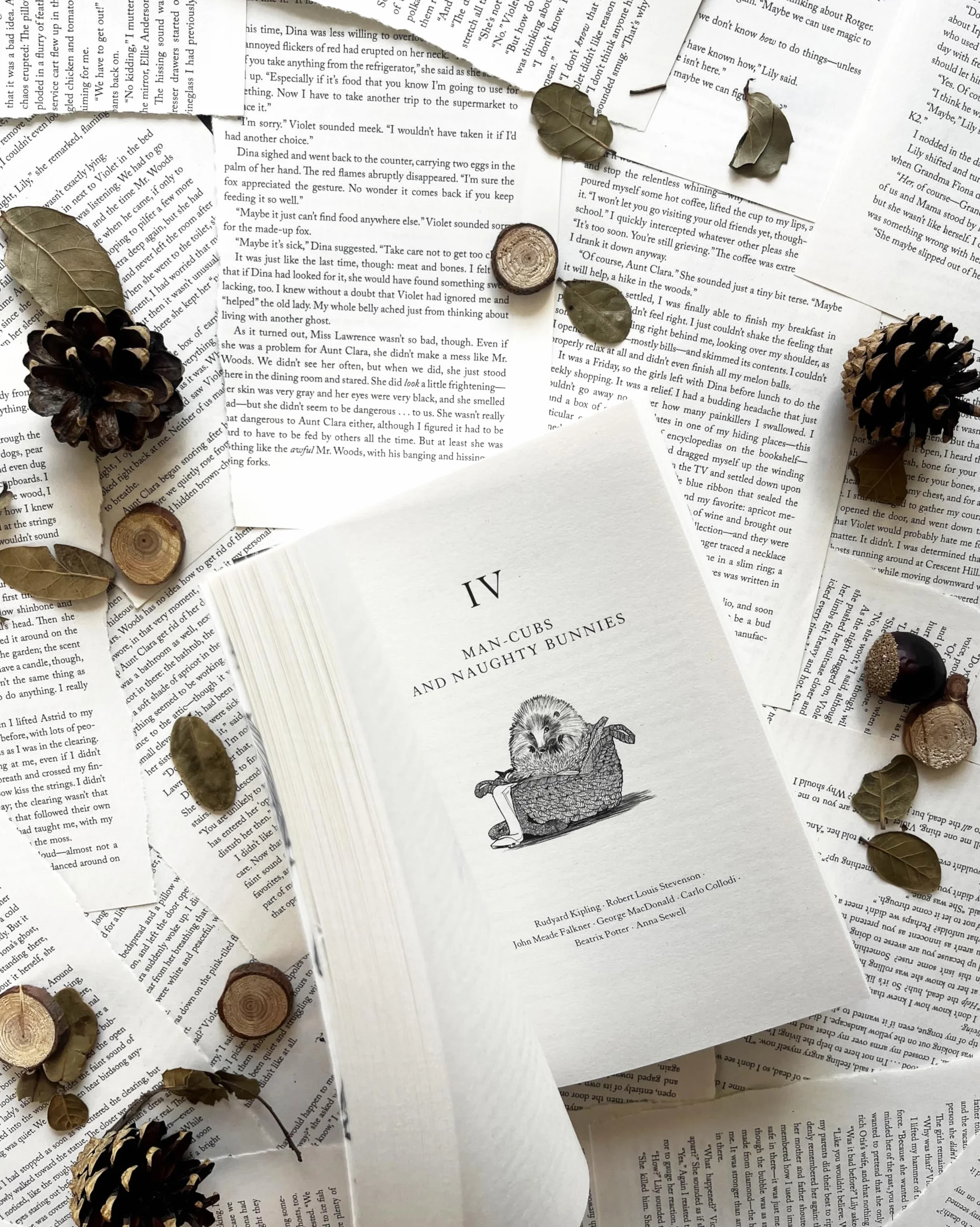 The Haunted Wood: A History of Childhood Reading