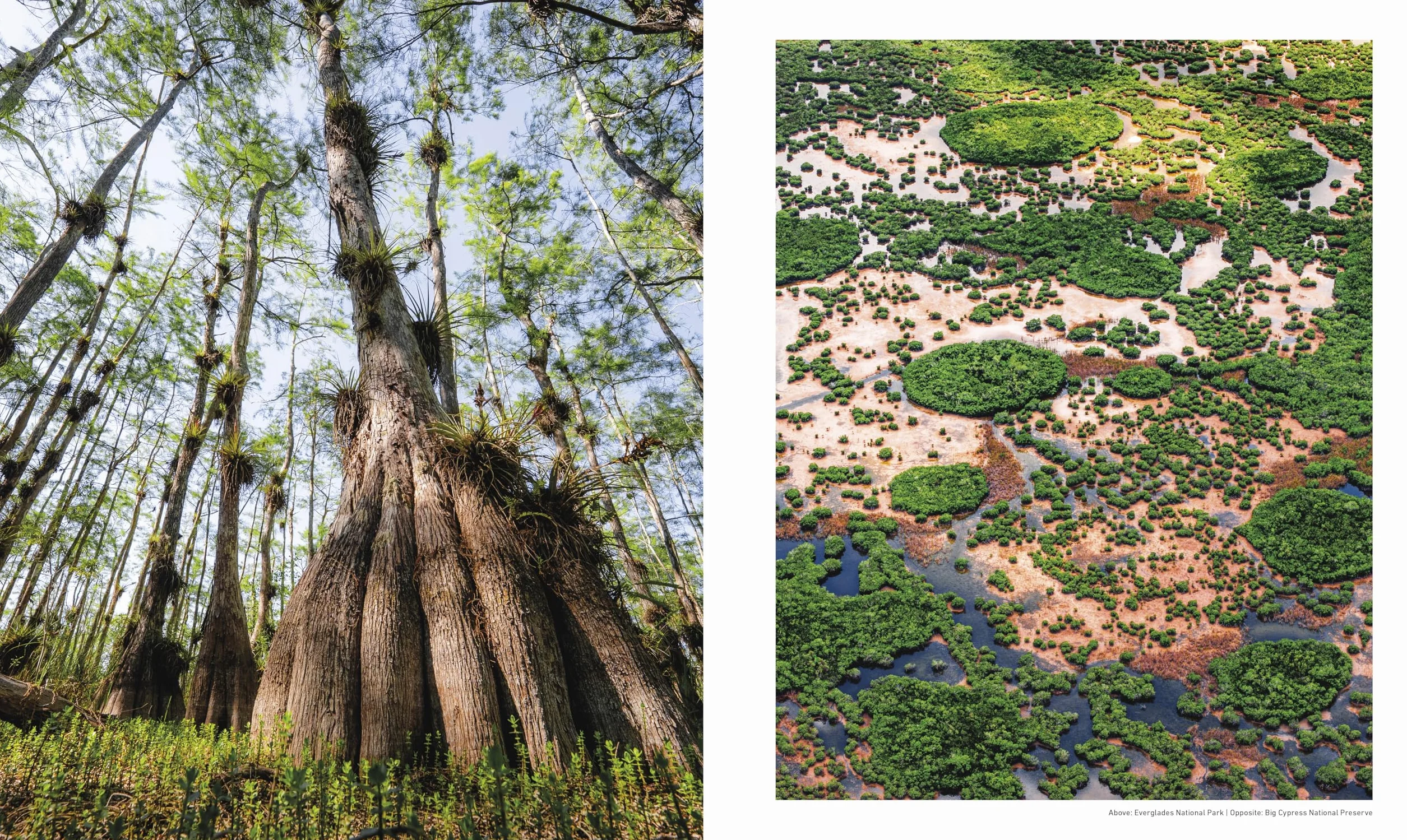 Otherworldly America: Explore the Most Unique Natural Wonders of the United States