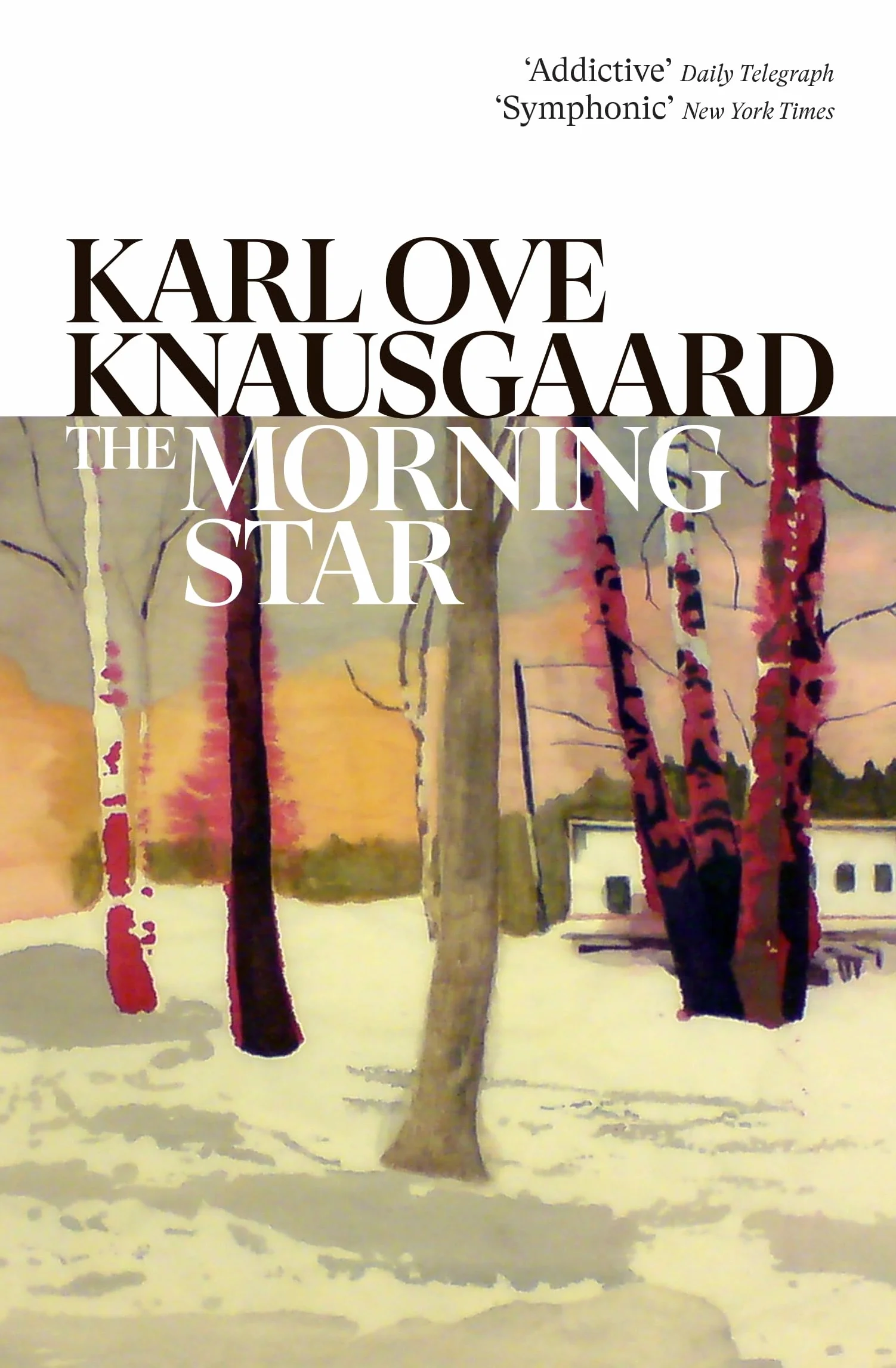 The Morning Star: The exhilarating new universe from the Sunday Times bestselling author of the MY STRUGGLE series