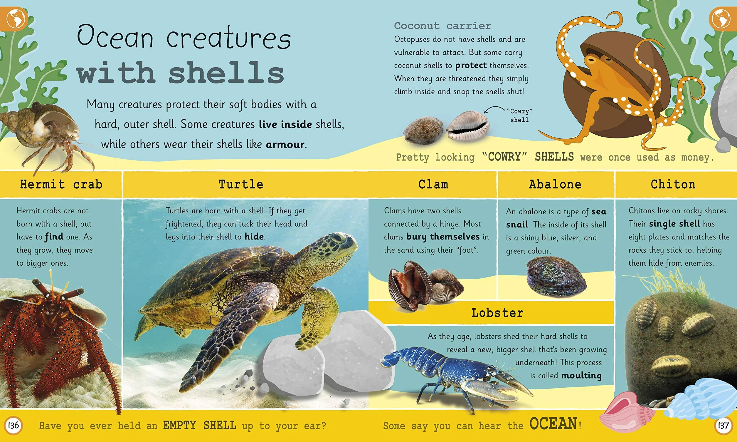 My Encyclopedia of Very Important Oceans (My Very Important Encyclopedias)