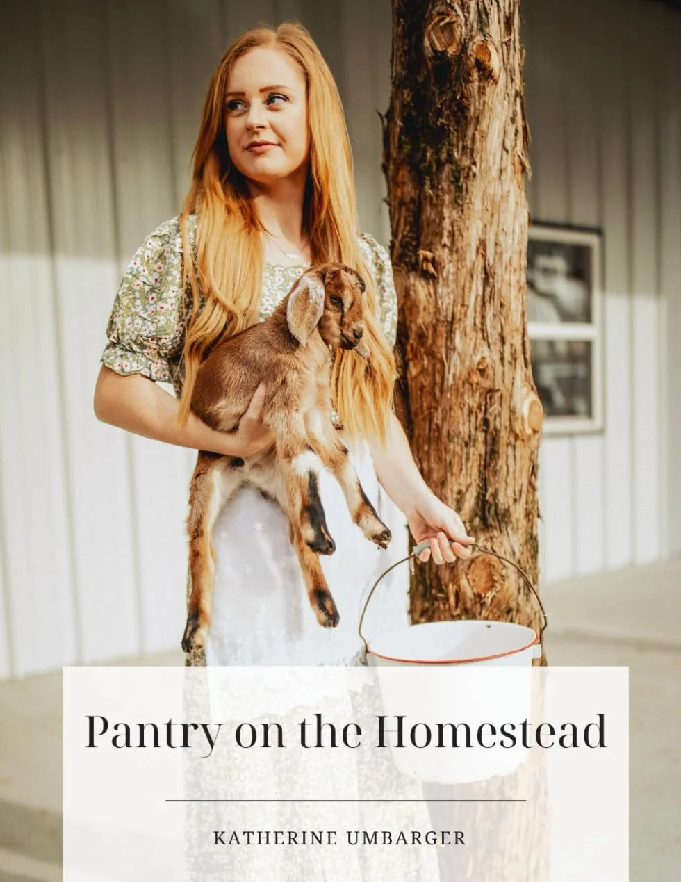 Pantry on the Homestead