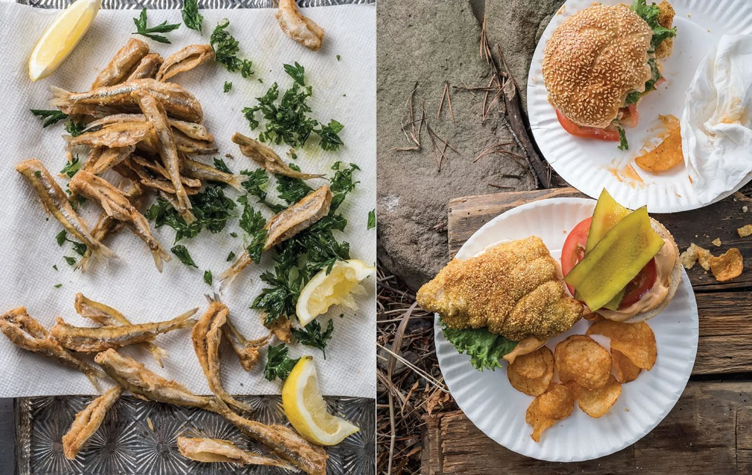 The MeatEater Fish and Game Cookbook: Recipes and Techniques for Every Hunter and Angler