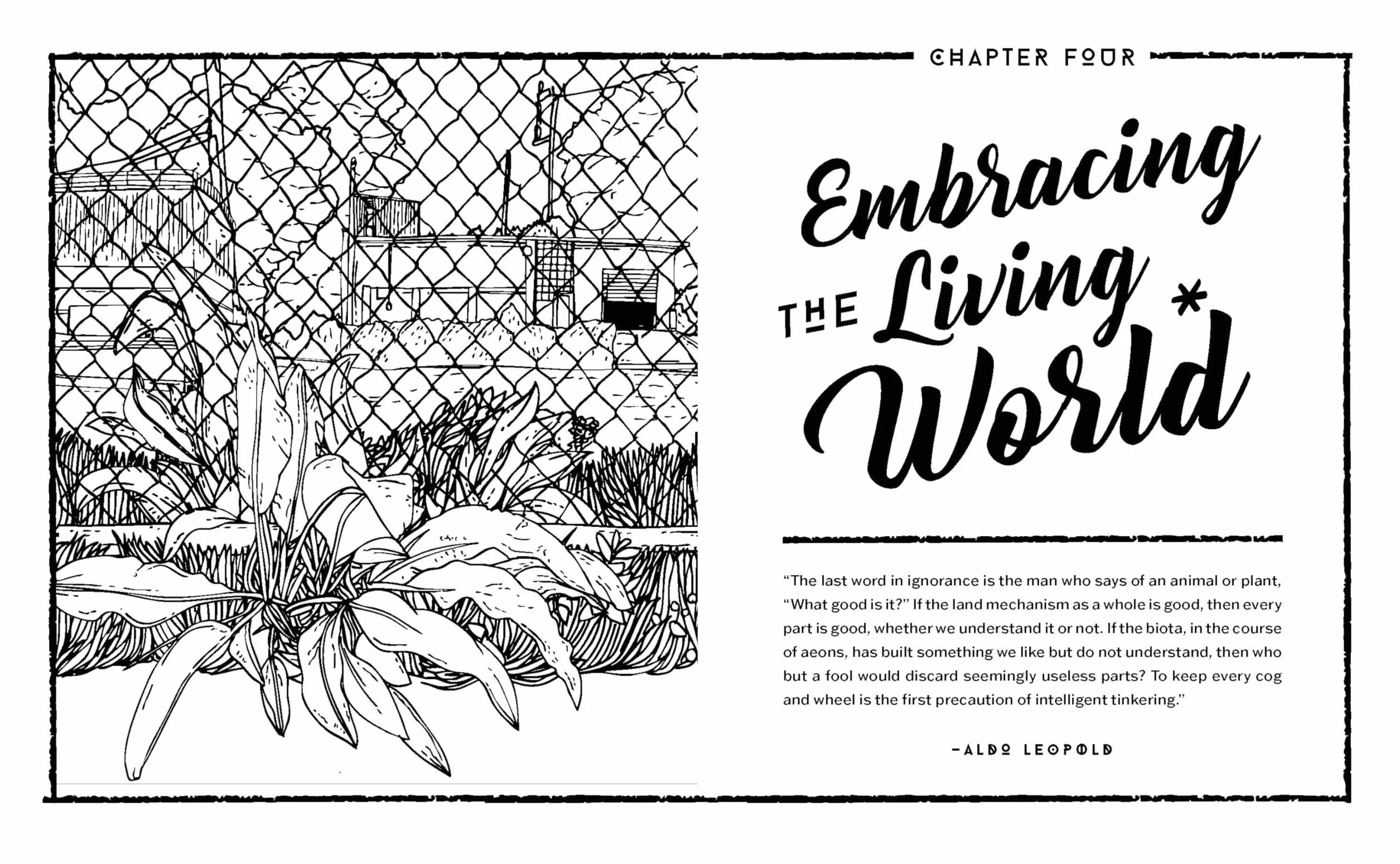 Concrete Botany: The Ecology of Plants in the Age of Human Disturbance