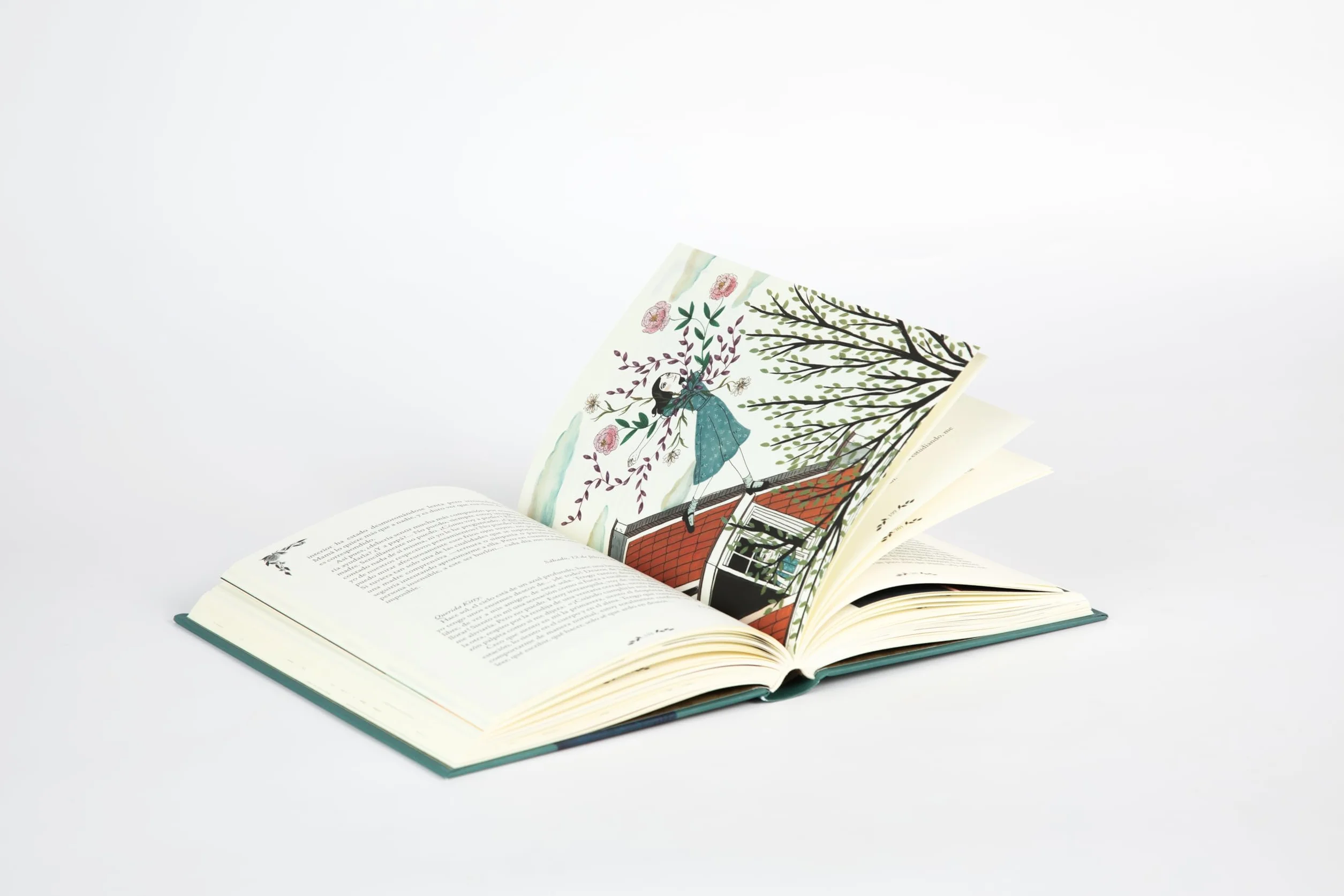 Diario de Anne Frank (Edición Ilustrada) / Diary of Anne Frank (Illustrated Edition)