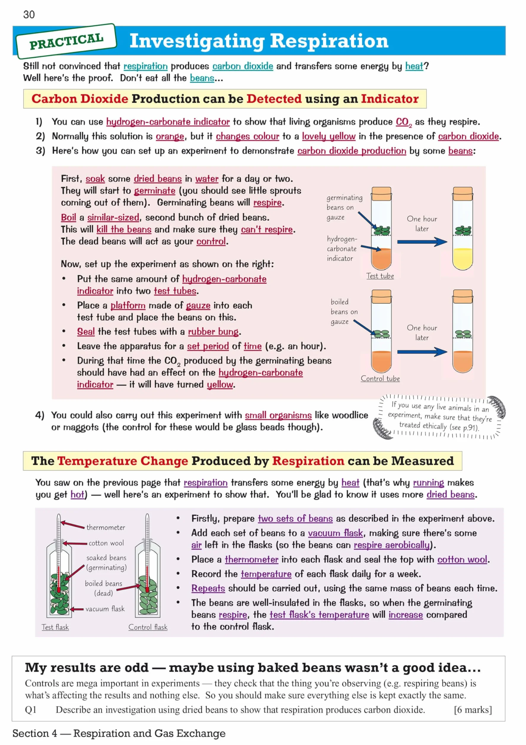 Edexcel International GCSE Biology Revision Guide: Including Online Edition, Videos and Quizzes