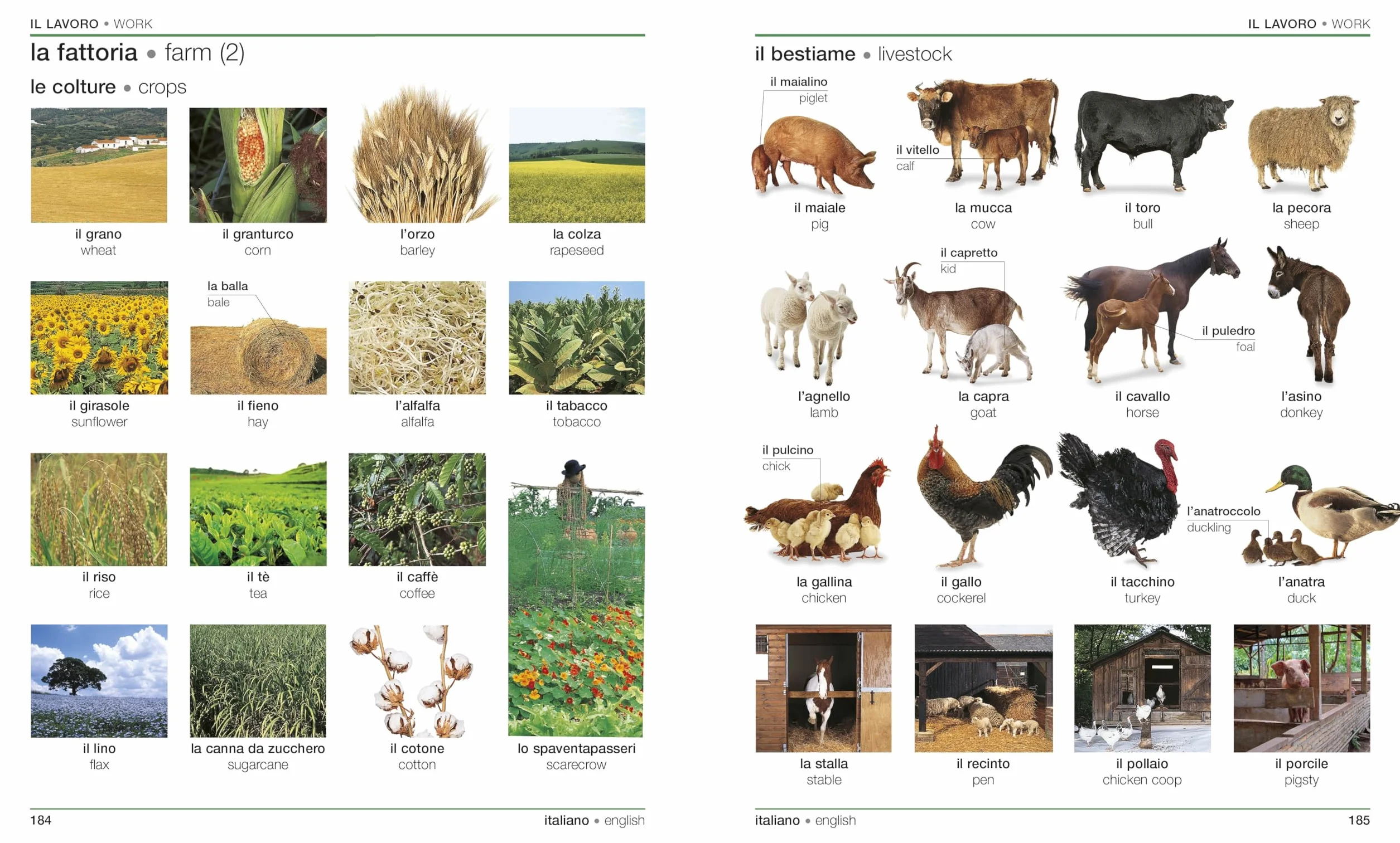 Italian English Bilingual Visual Dictionary