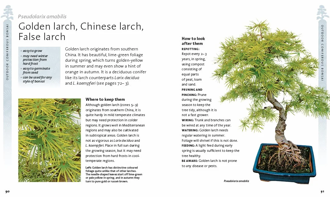The Bonsai Beginner's Bible: The definitive guide to choosing and growing bonsai