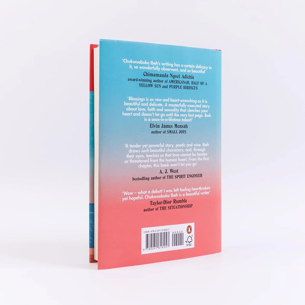 Blessings: ‘A sublime coming-of-age tale’ Guardian