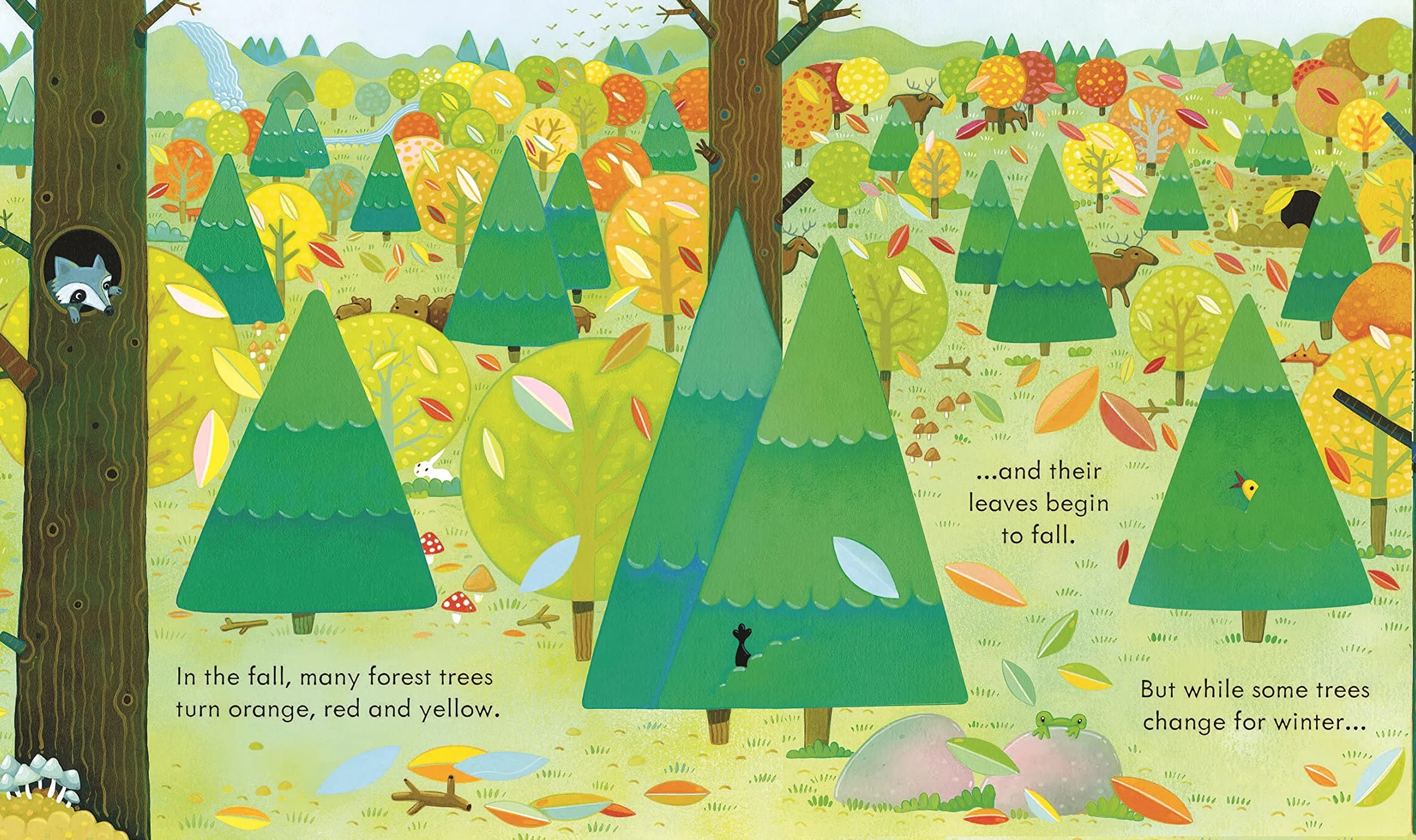Peep Inside the Forest: 1