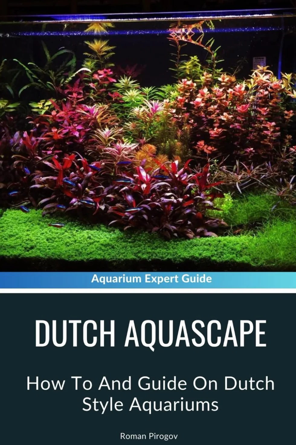 Dutch Aquascape: How To And Guide On Dutch Style Aquariums