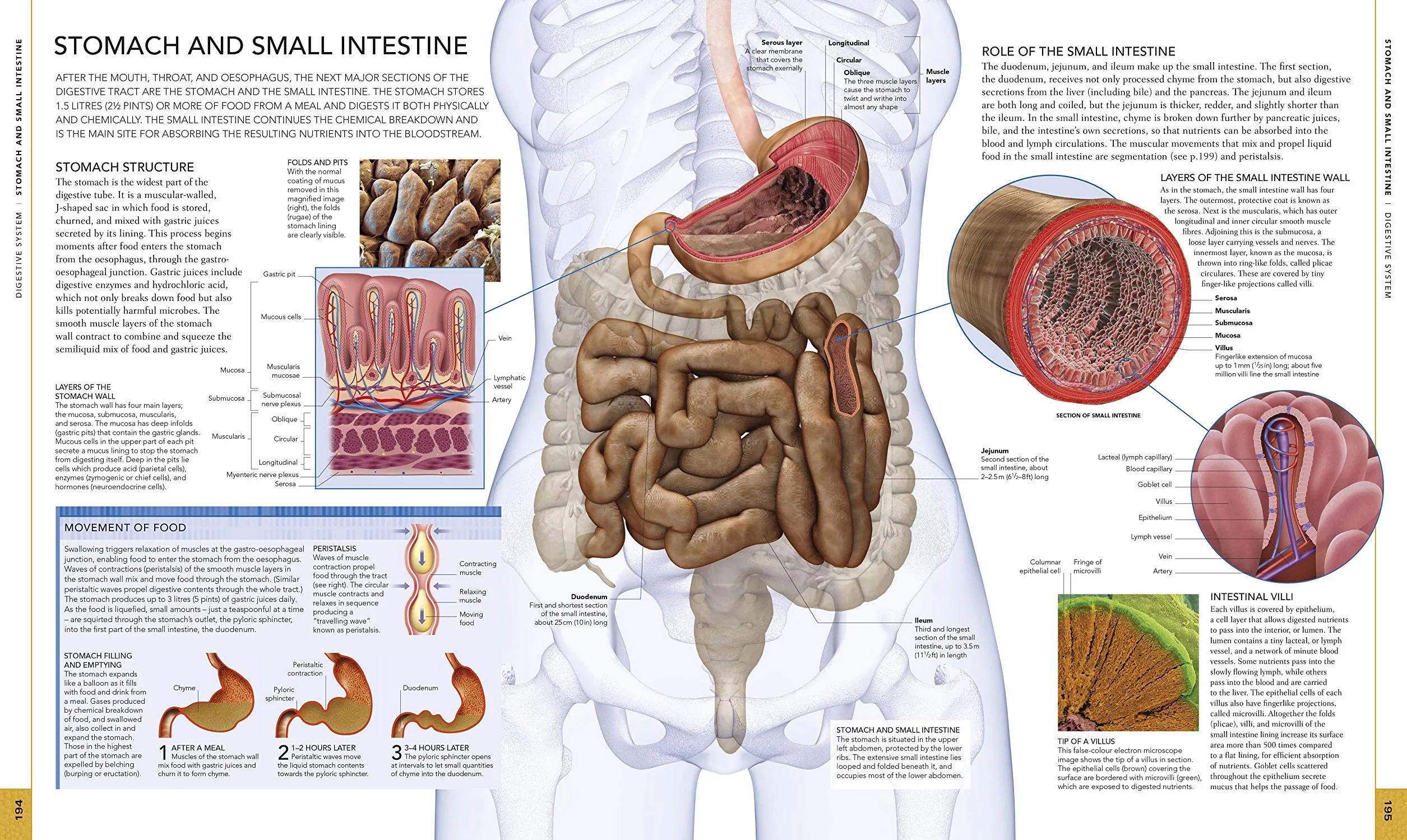 The Human Body Book
