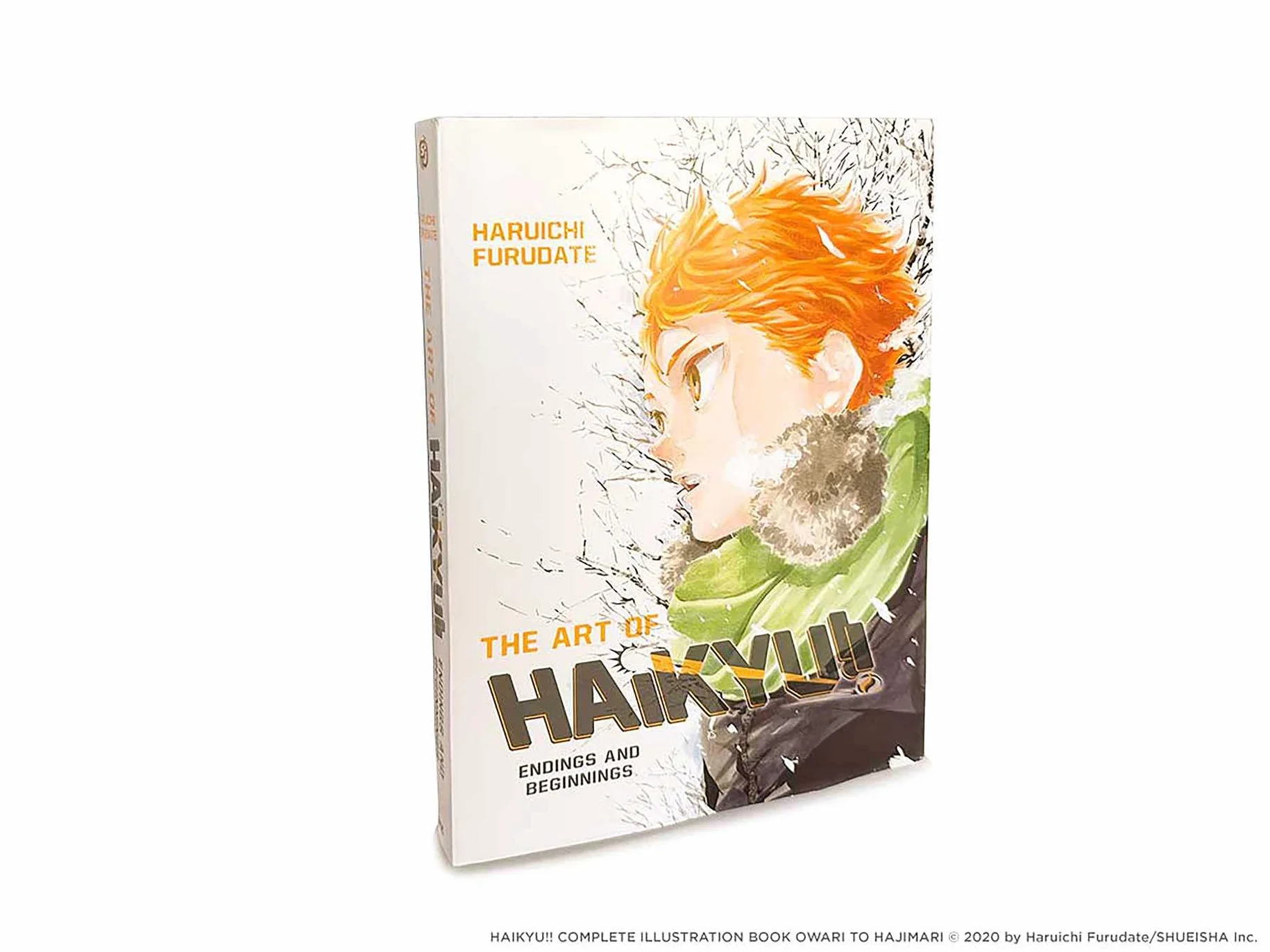 The Art of Haikyu!!: Endings and Beginnings