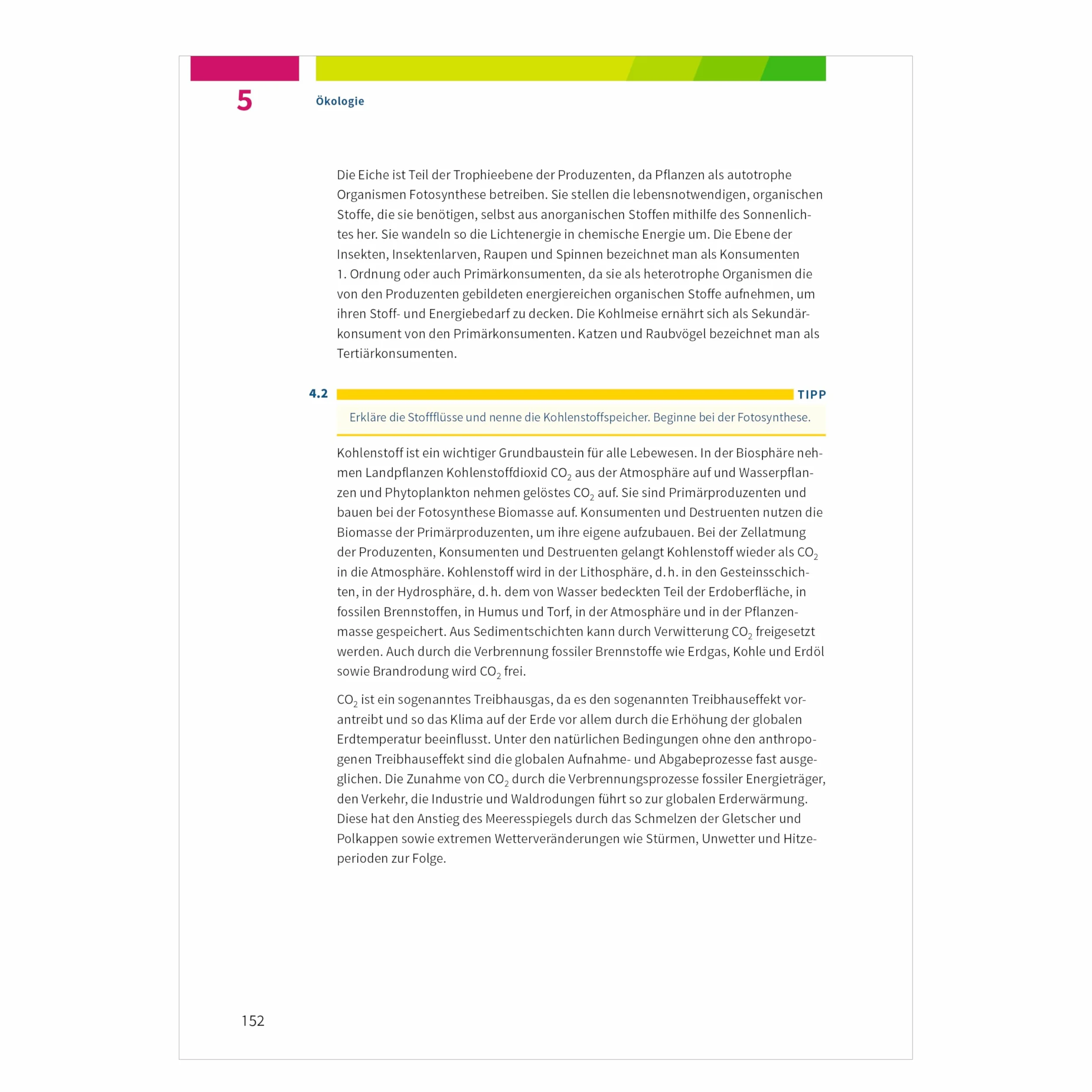 Fit fürs Abi. Klausur-Training Biologie