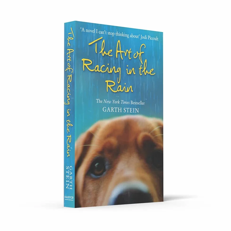 The Art of Racing in the Rain: a novel